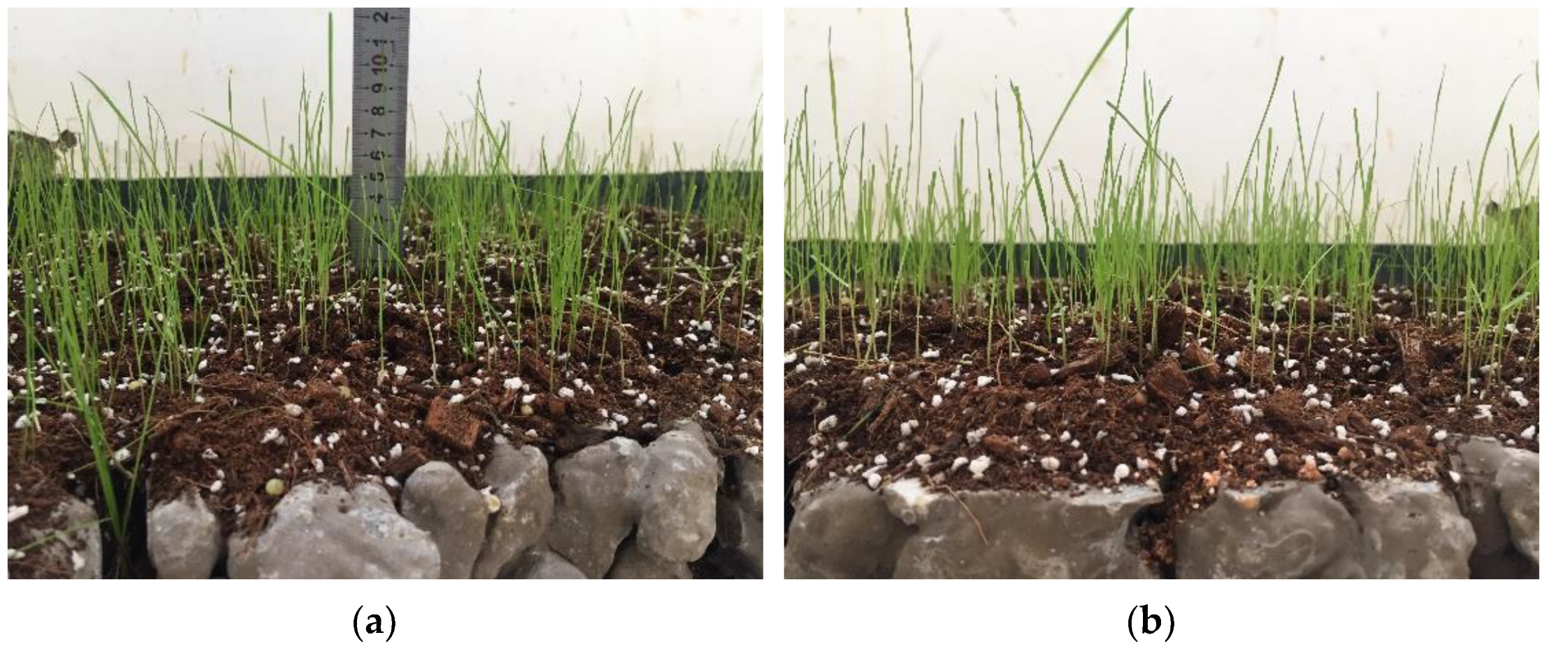 Materials 15 06685 g014