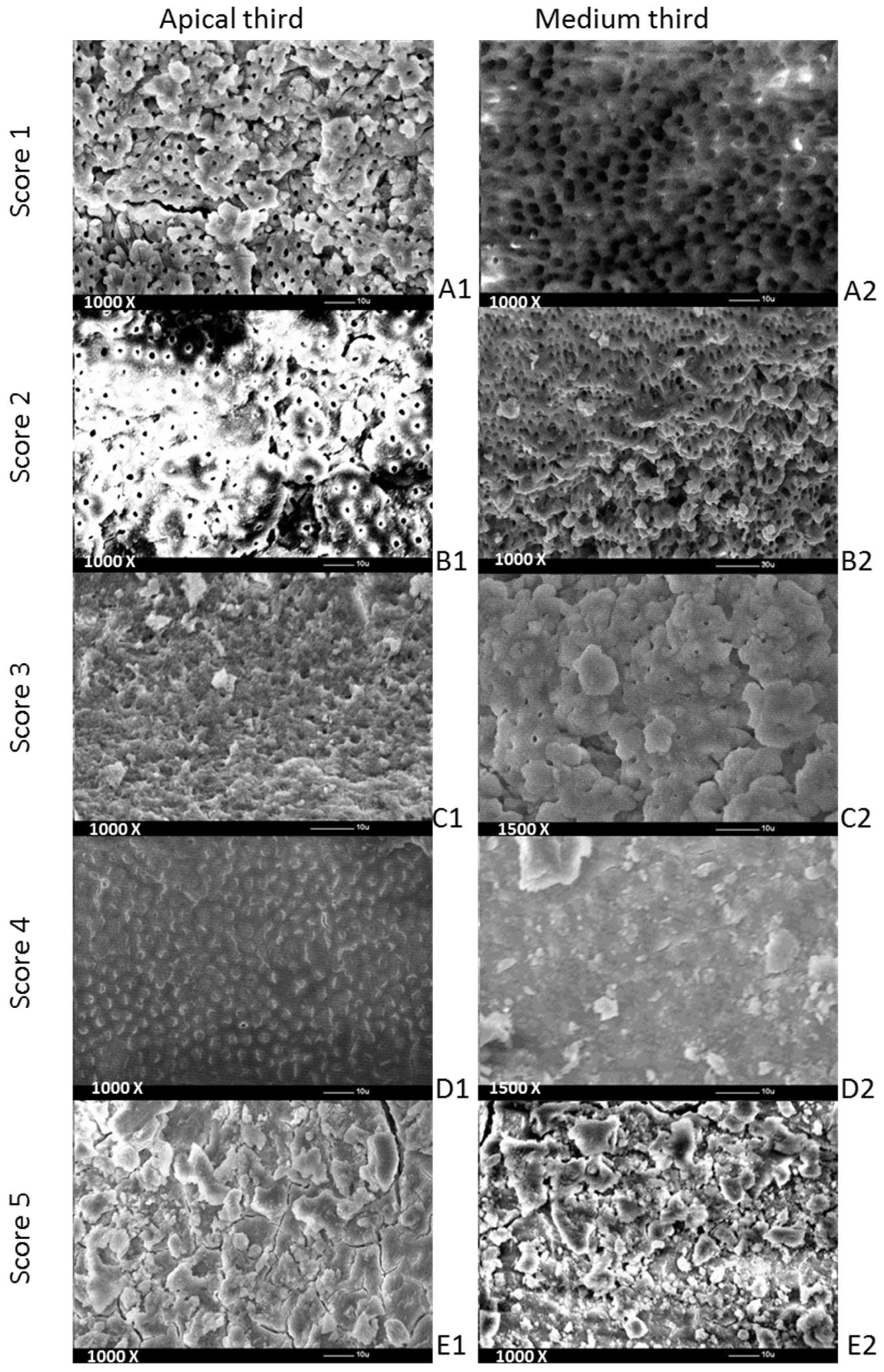 Materials 15 06688 g001 550