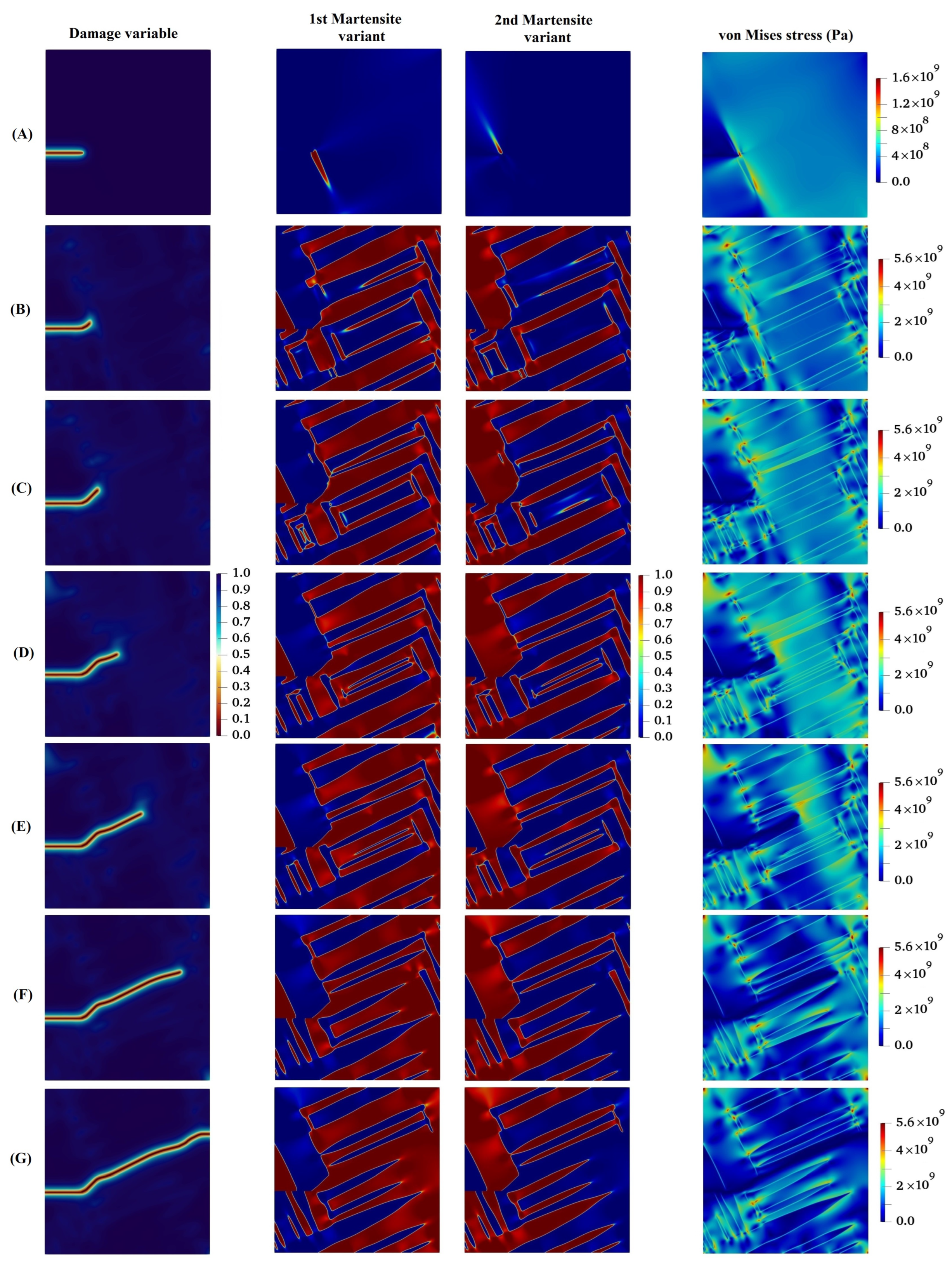 Materials 15 06744 g006
