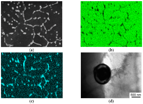 Materials 15 06749 g010