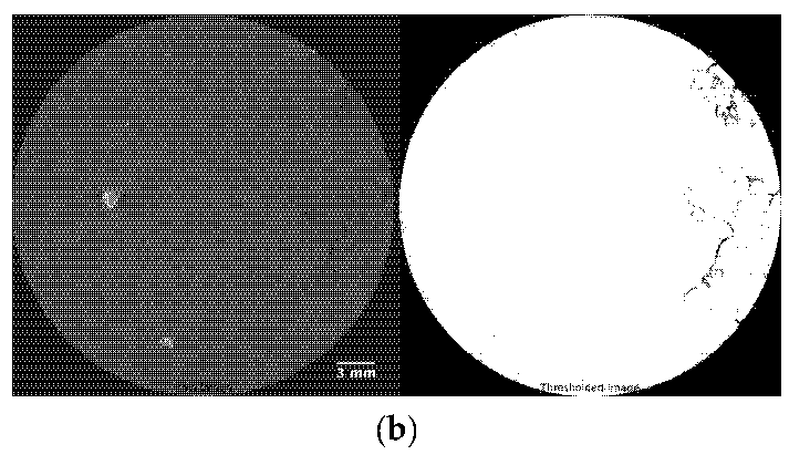 Materials 15 06775 g019b Materials 15 06775 g019b