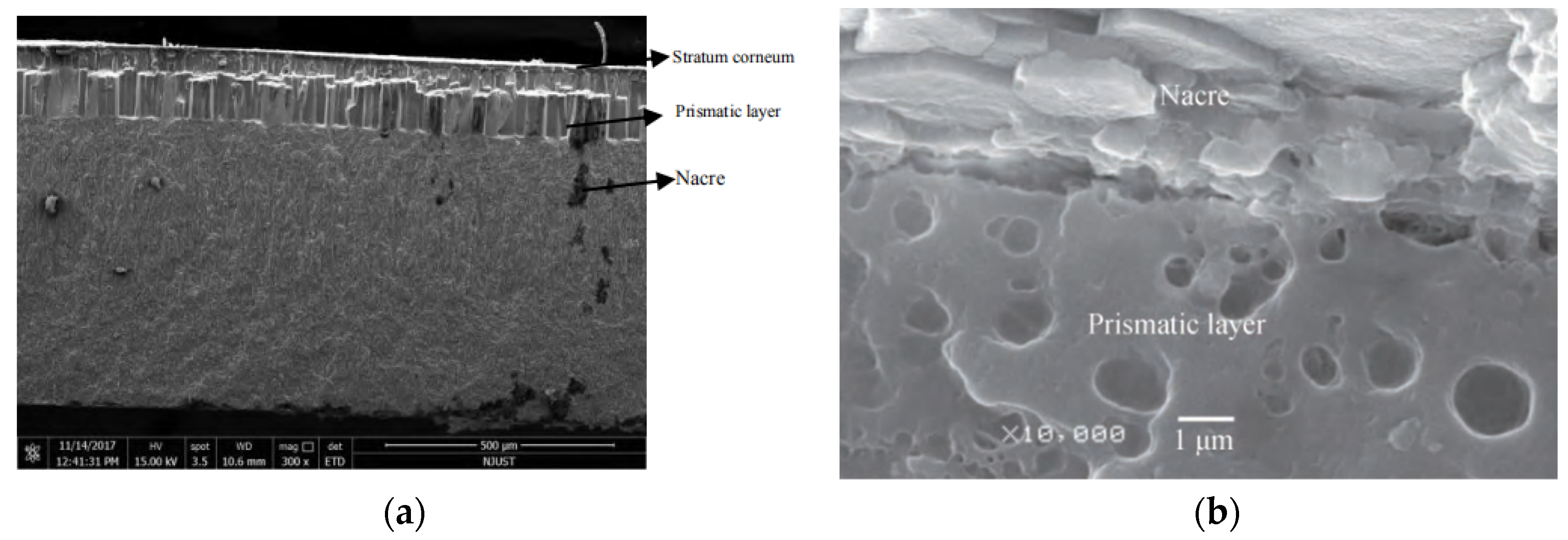 Materials 15 06788 g001 Materials 15 06788 g001