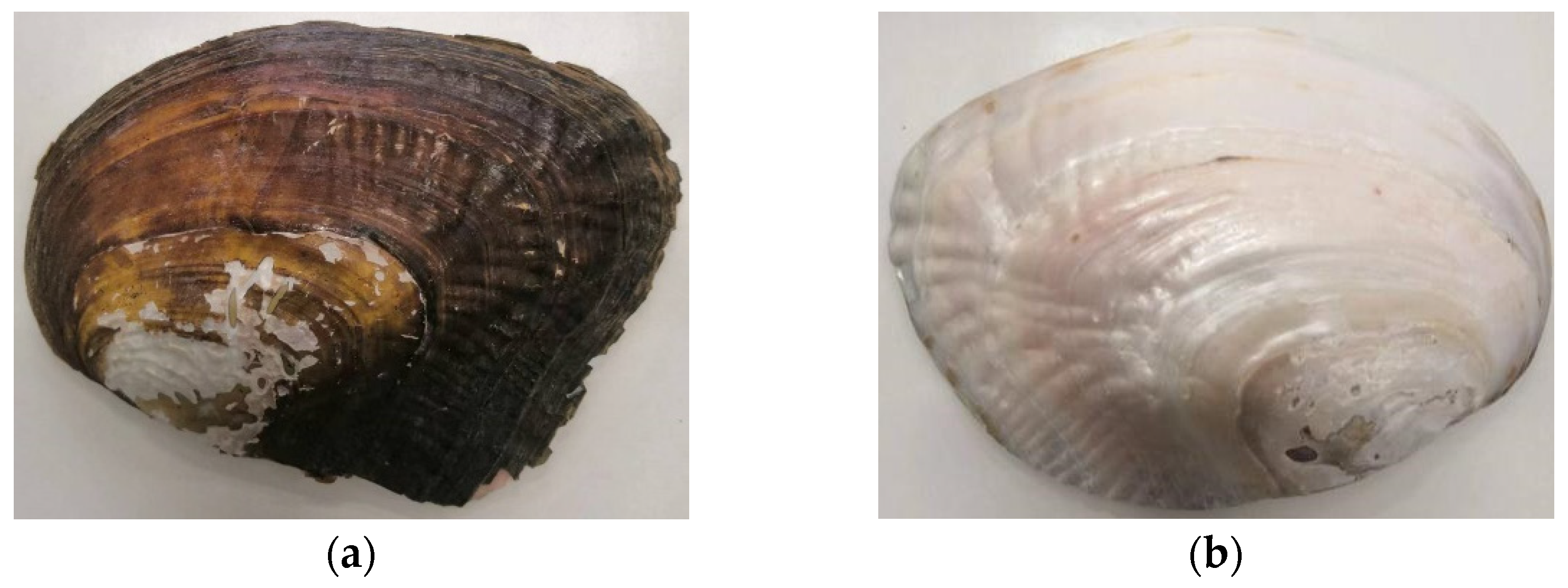 Materials 15 06788 g003 Materials 15 06788 g003