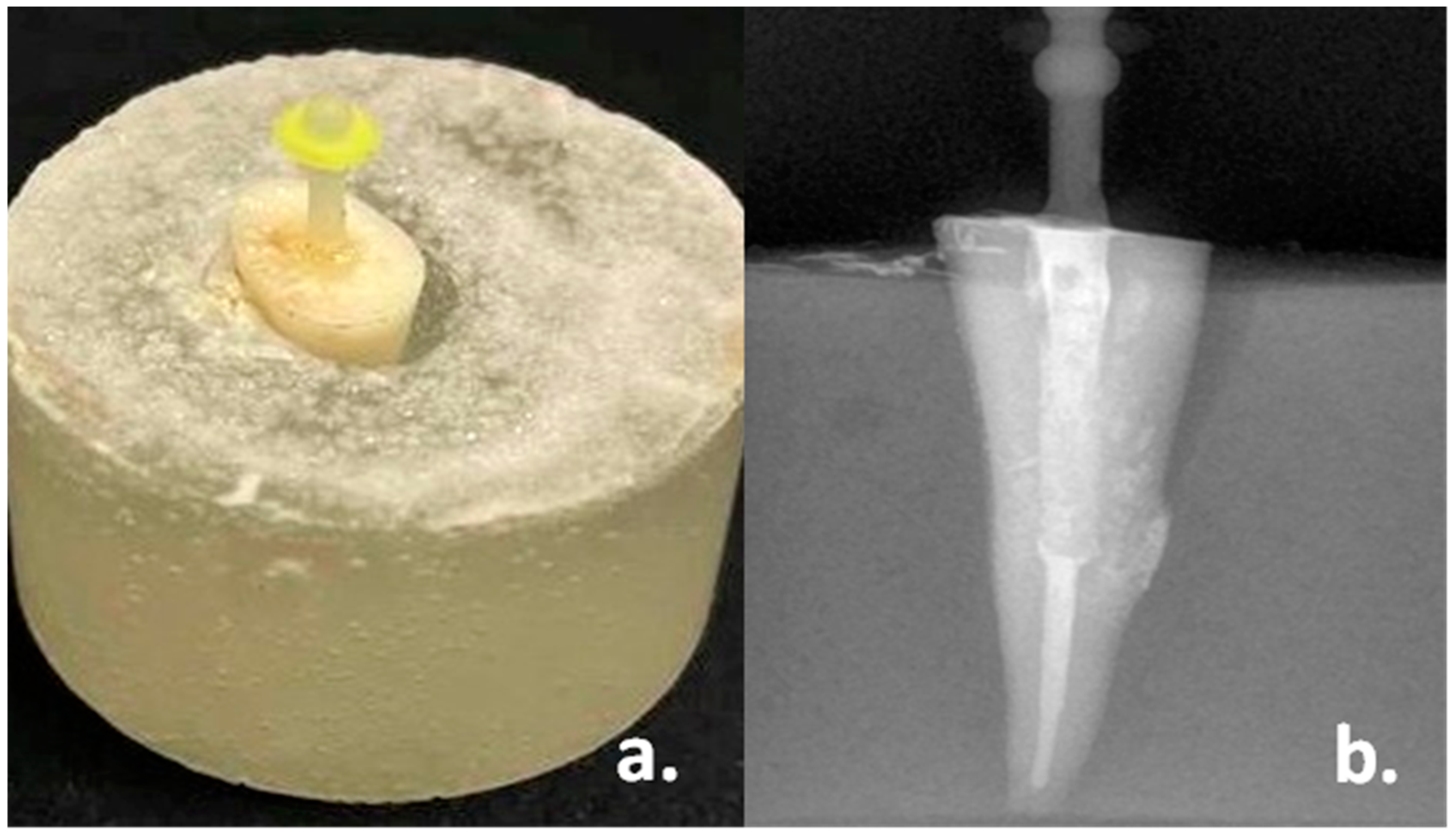 Materials 15 06792 g003