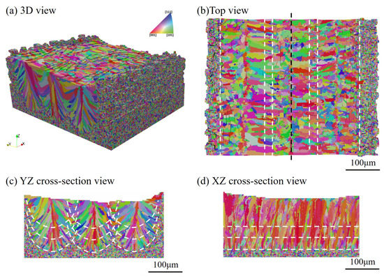 Three-Dimensional Numerical Simulation of Grain Growth during Selective ...