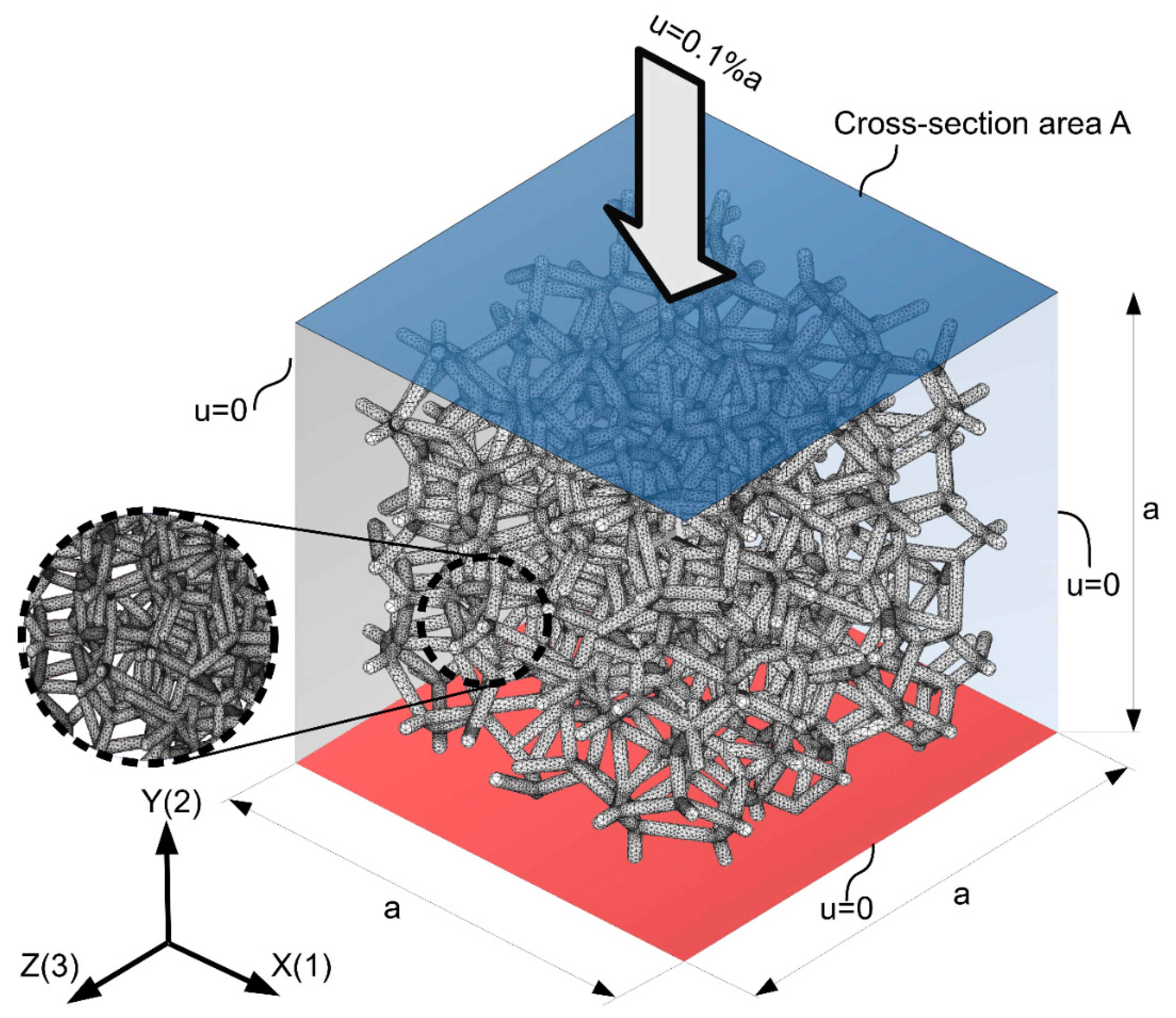2025-25 秋冬新作  ハイブランドの Elastic of Foams—Modeling Metallic Cell Open of Properties その他