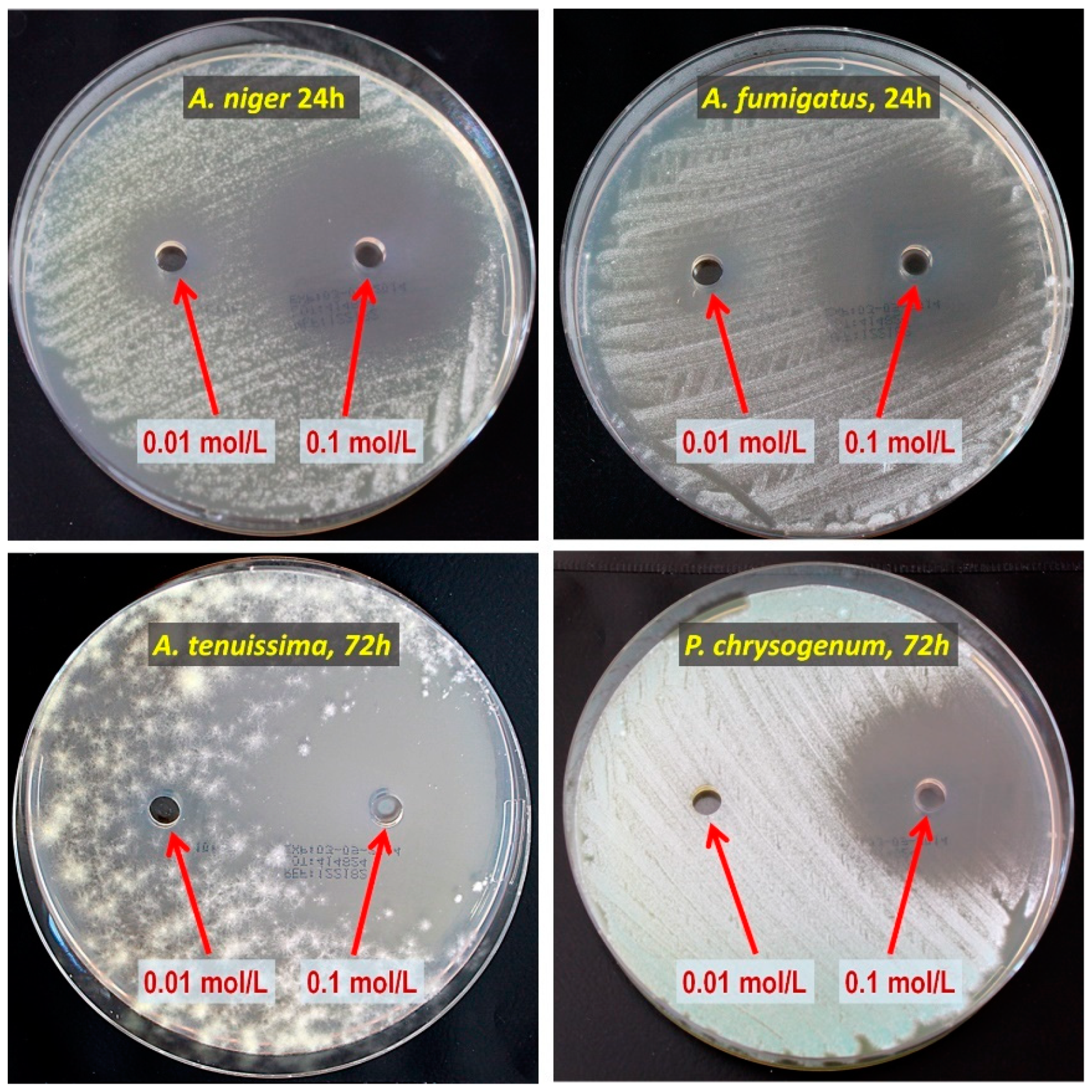 Materials 15 06834 g002