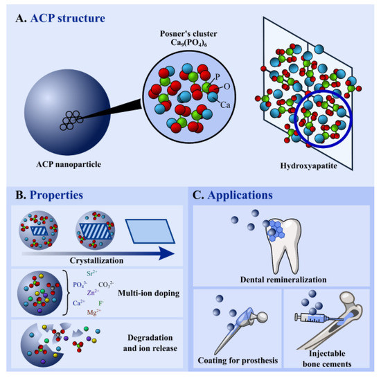 Materials Free FullText Bioactive Materials for Dental
