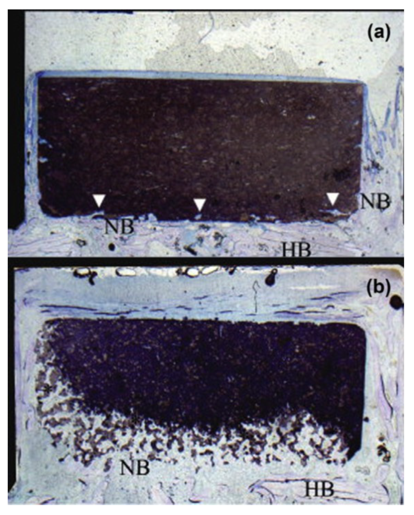 Materials 15 06864 g007