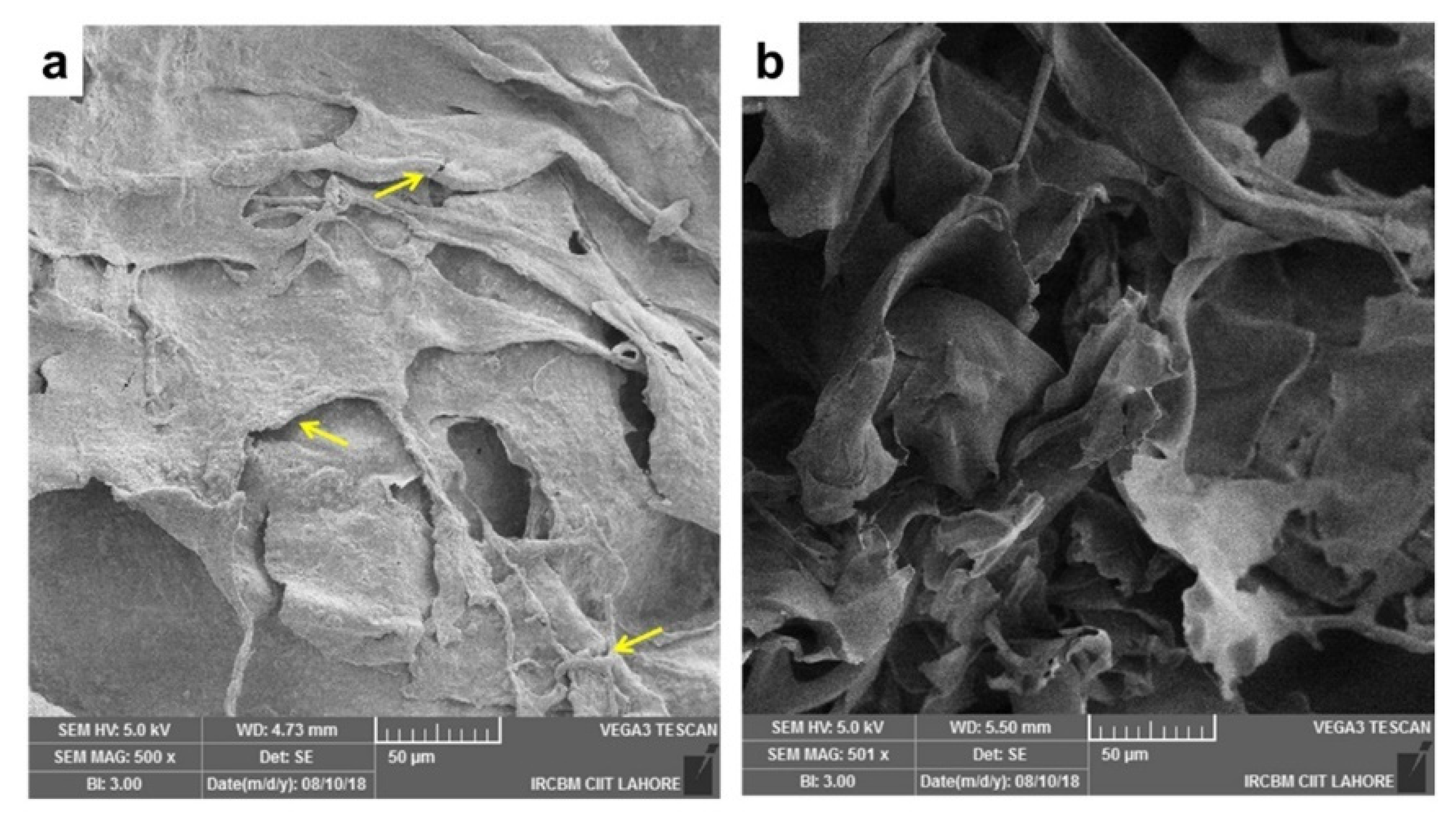 Materials 15 06864 g013