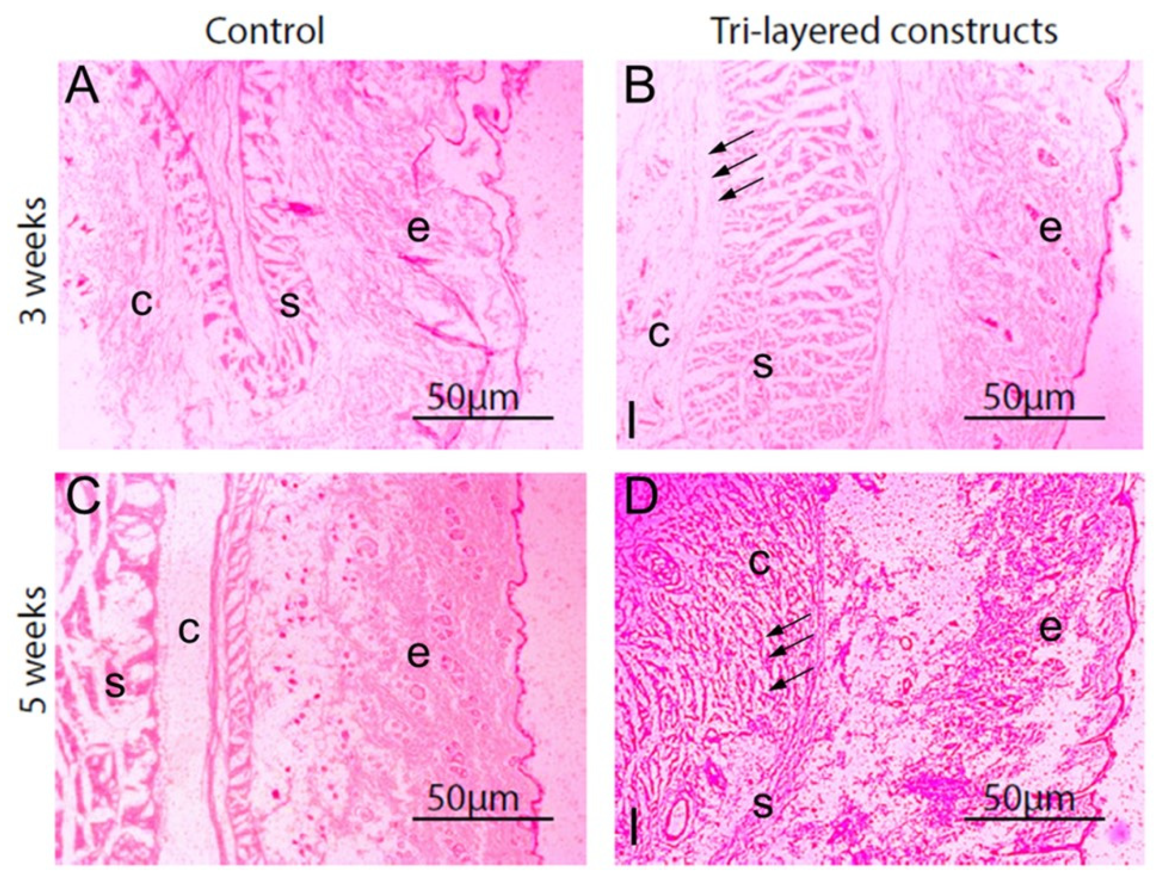 Materials 15 06864 g014