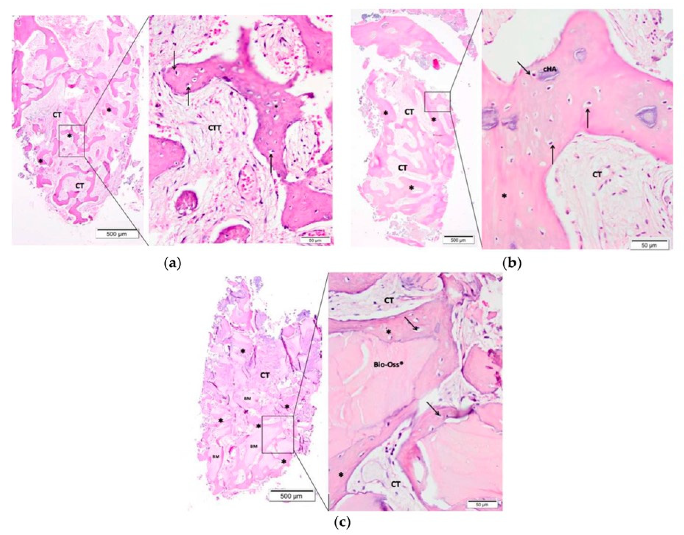 Materials 15 06864 g015