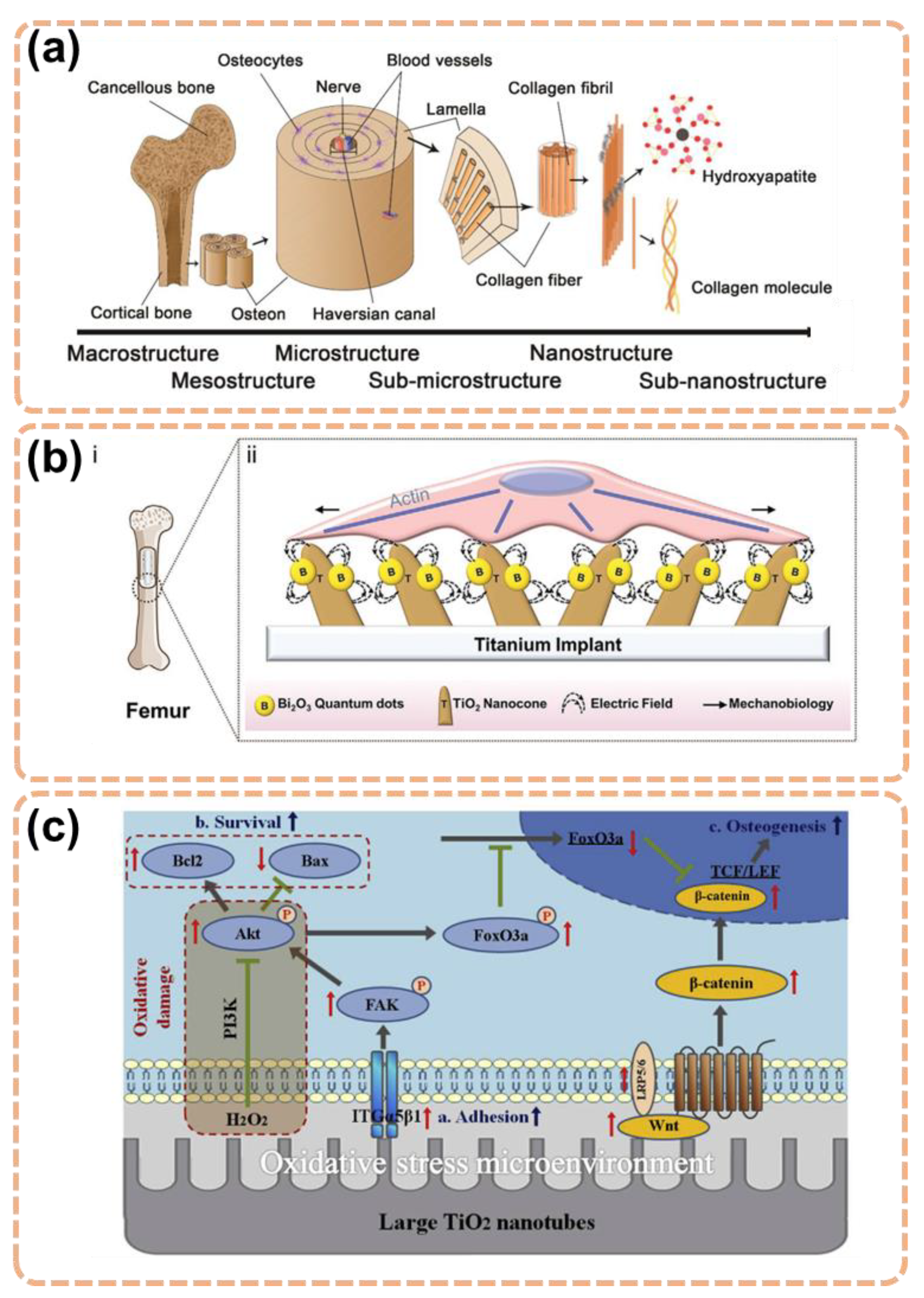 Materials 15 06868 g002