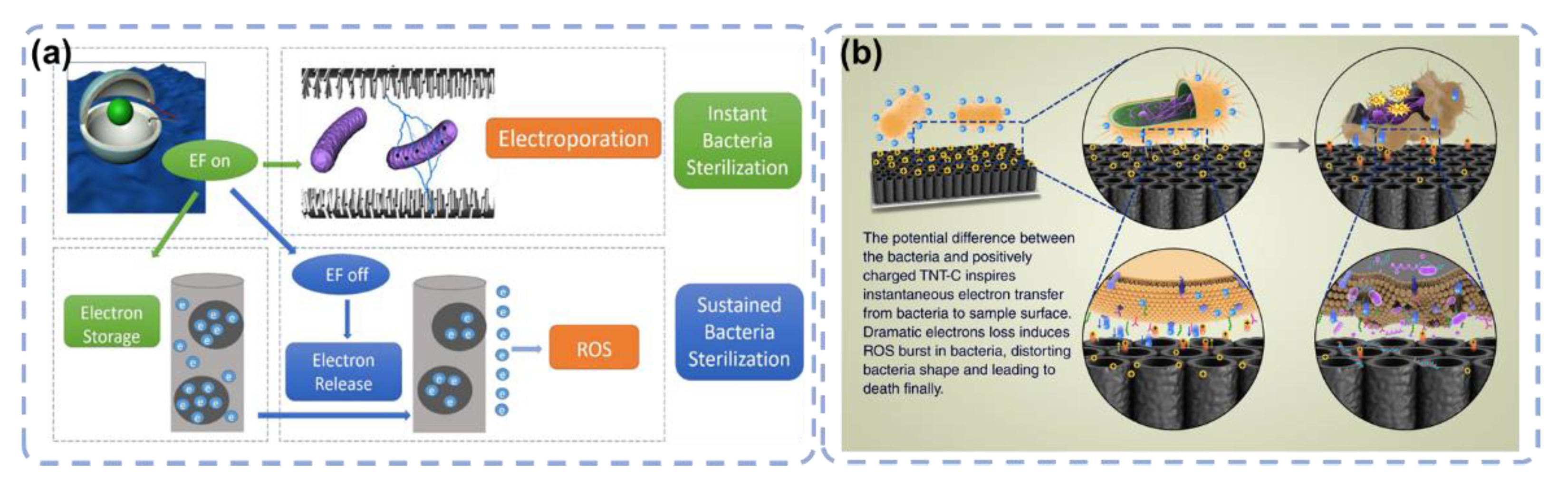 Materials 15 06868 g007