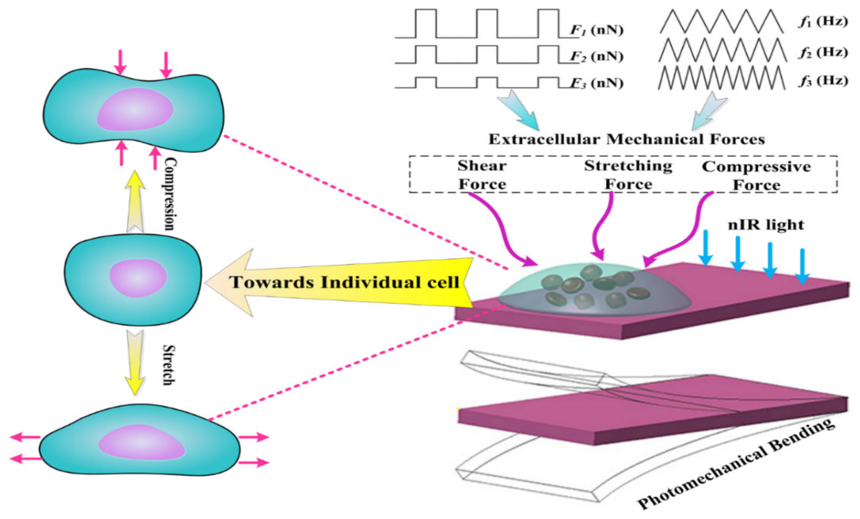 Materials 15 06869 g001 Materials 15 06869 g001