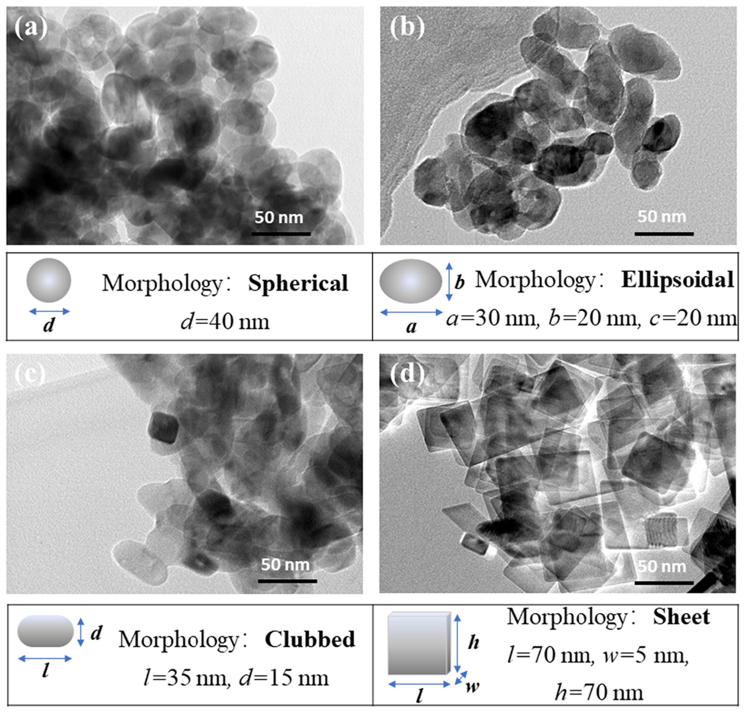 Materials 15 06879 g007