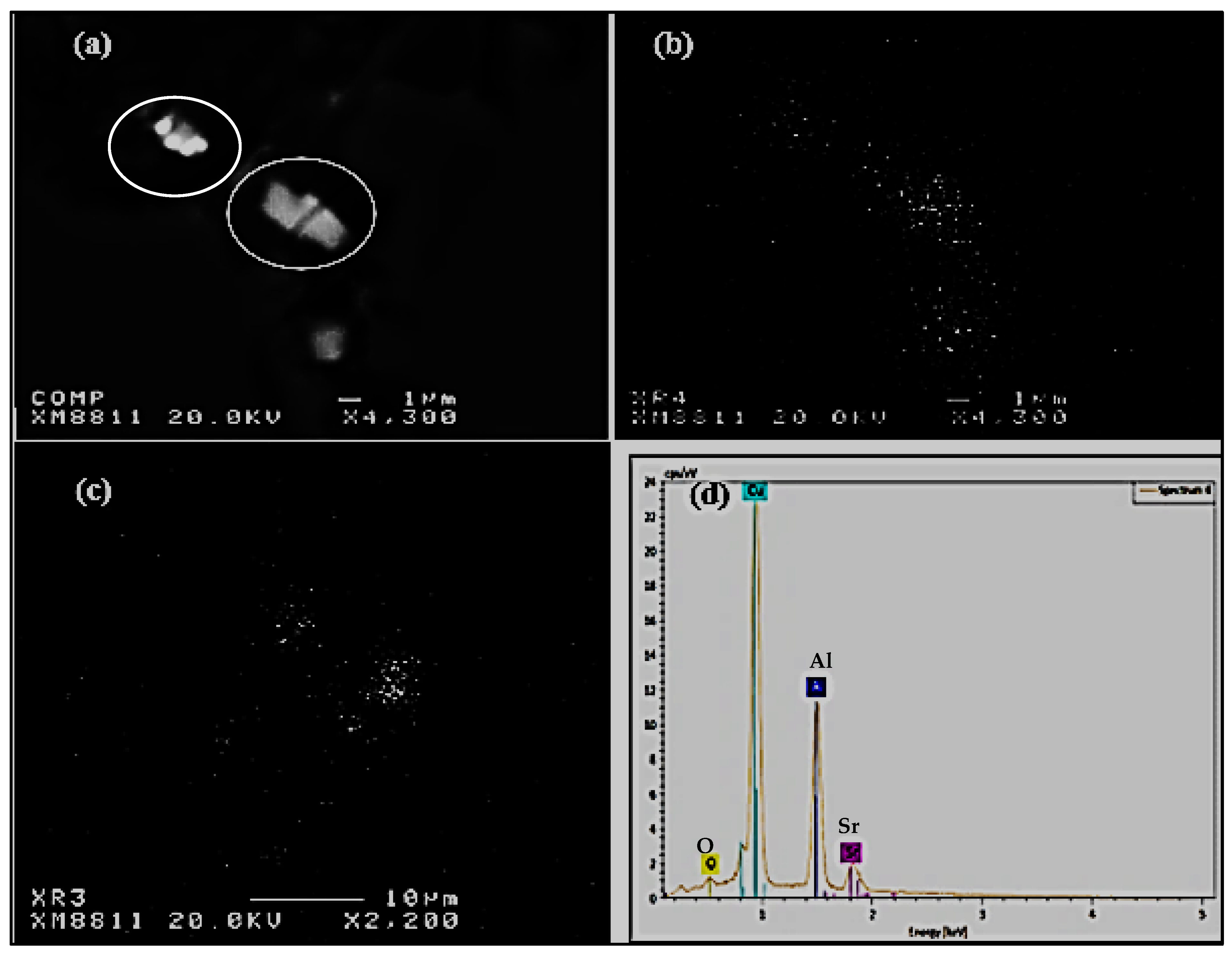Materials 15 06903 g004 Materials 15 06903 g004