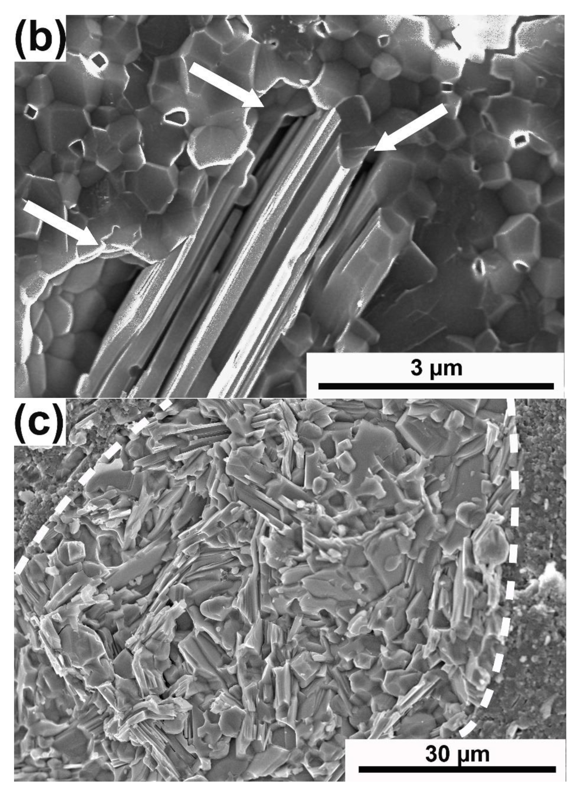 Materials 15 06909 g004b