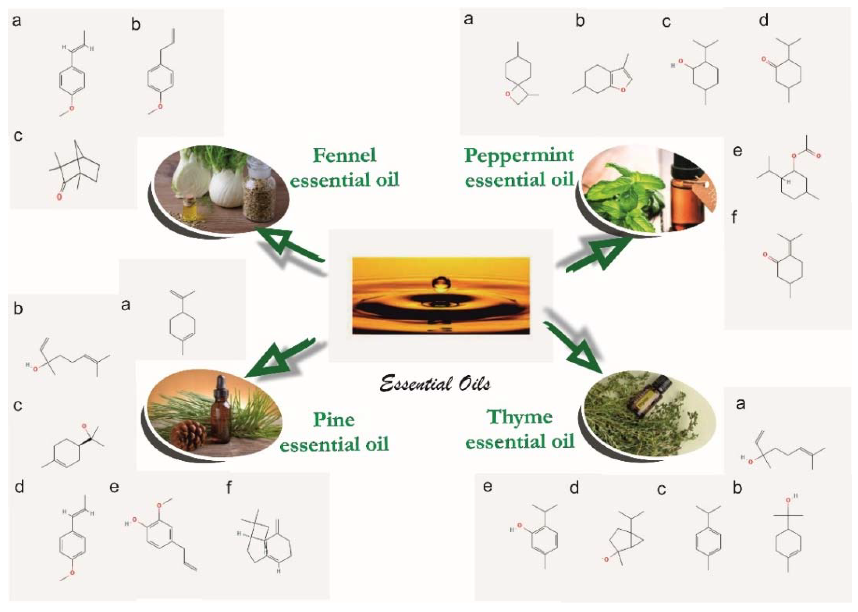 materials-free-full-text-essential-oils-as-antimicrobial-active