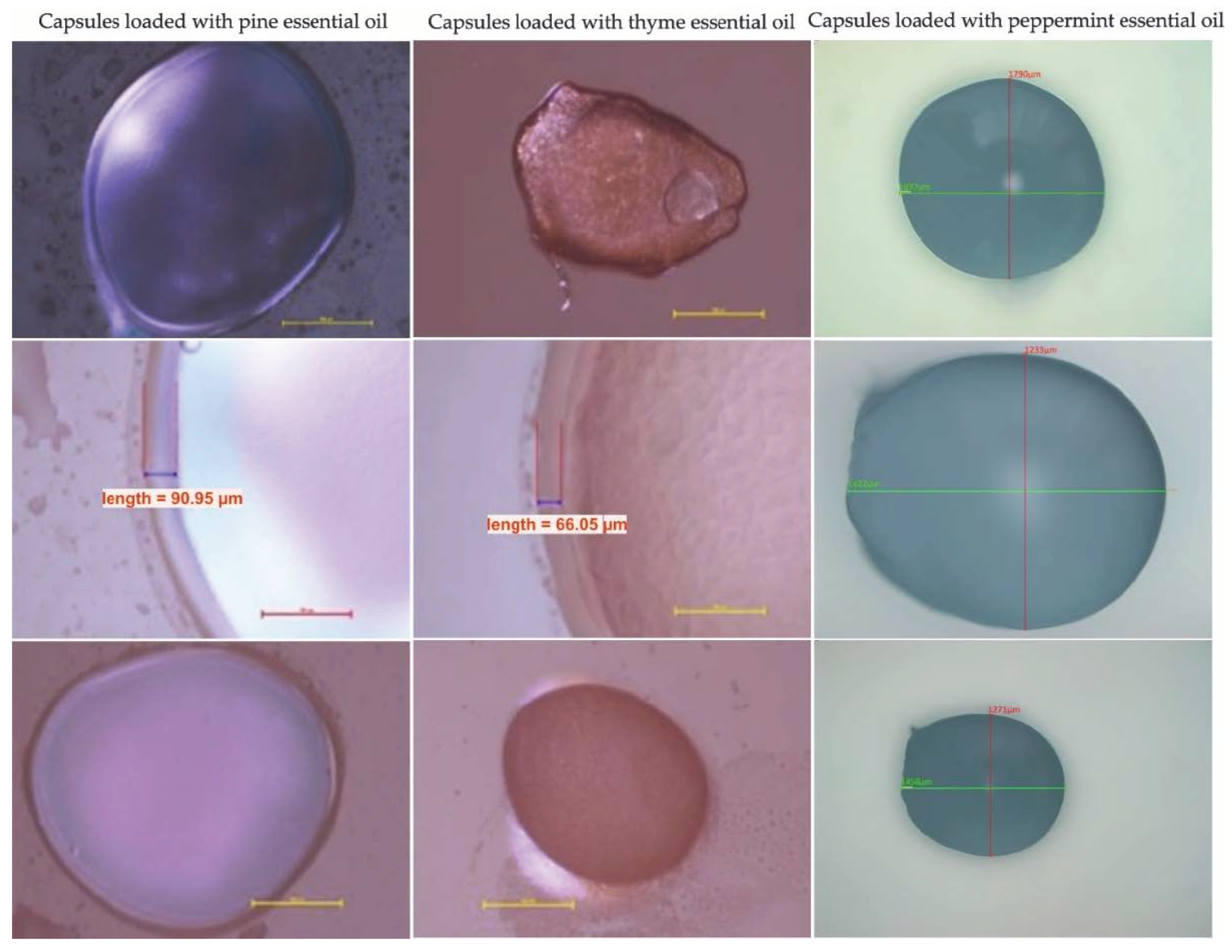 Materials 15 06923 g006 Materials 15 06923 g006