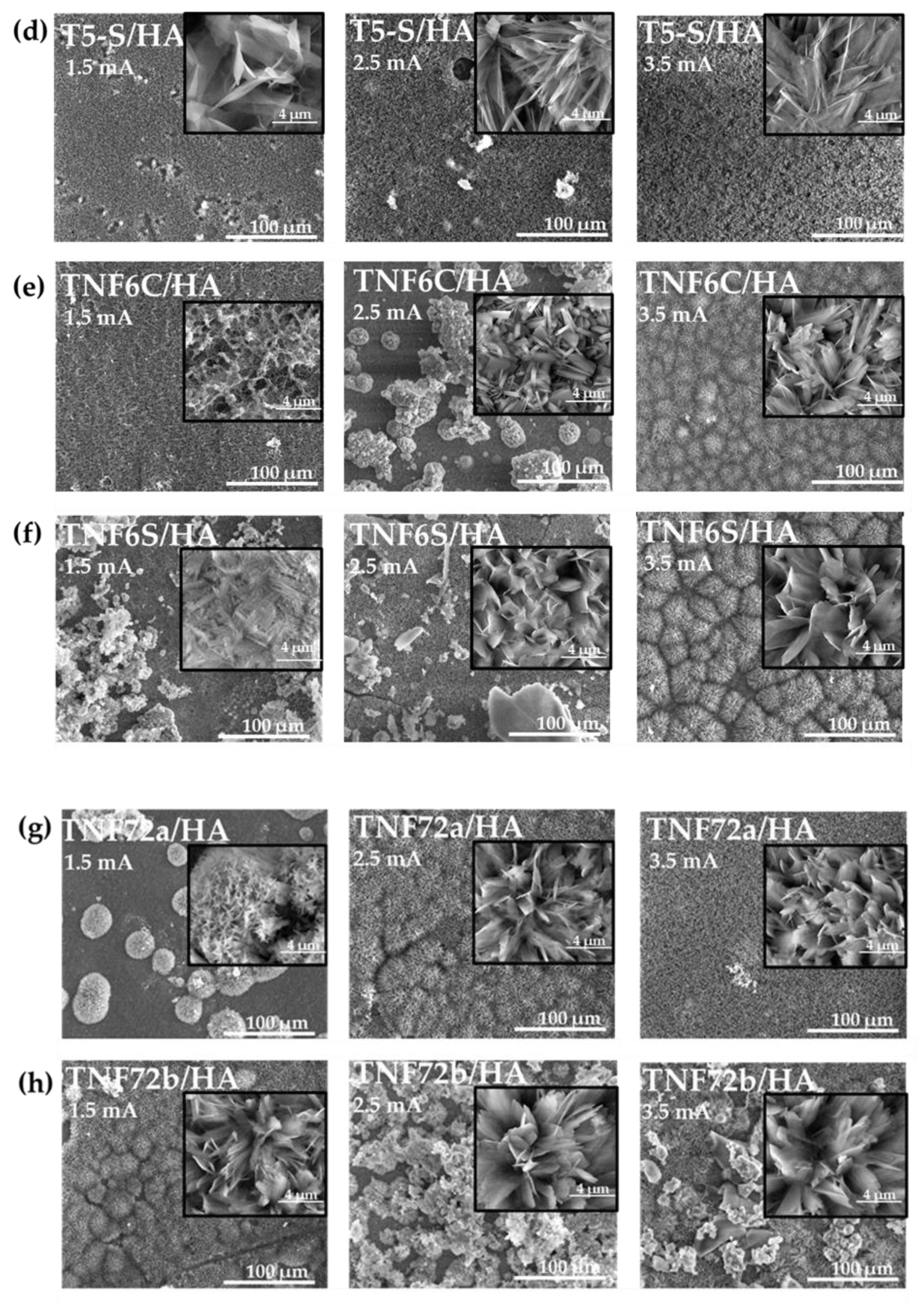 Materials 15 06925 g003b Materials 15 06925 g003b