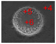 Materials 15 06945 i003