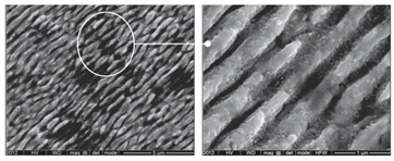 Materials 15 06945 i007