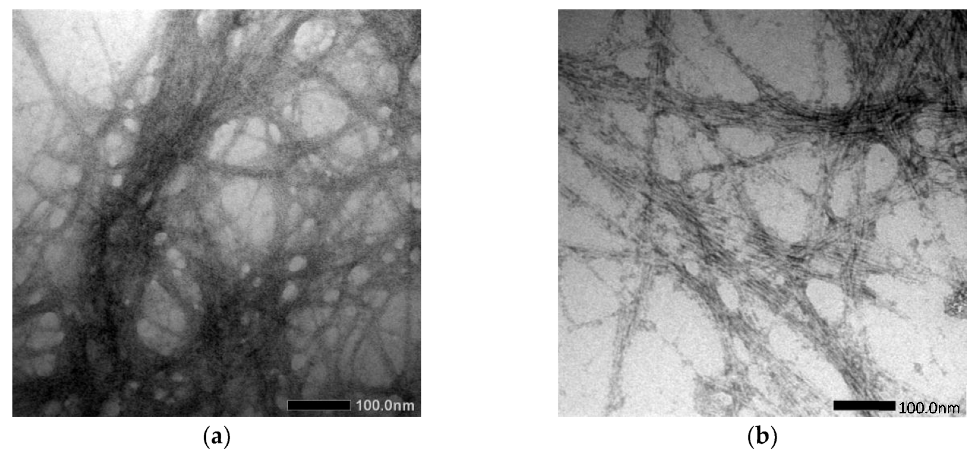 Materials 15 06992 g005 Materials 15 06992 g005