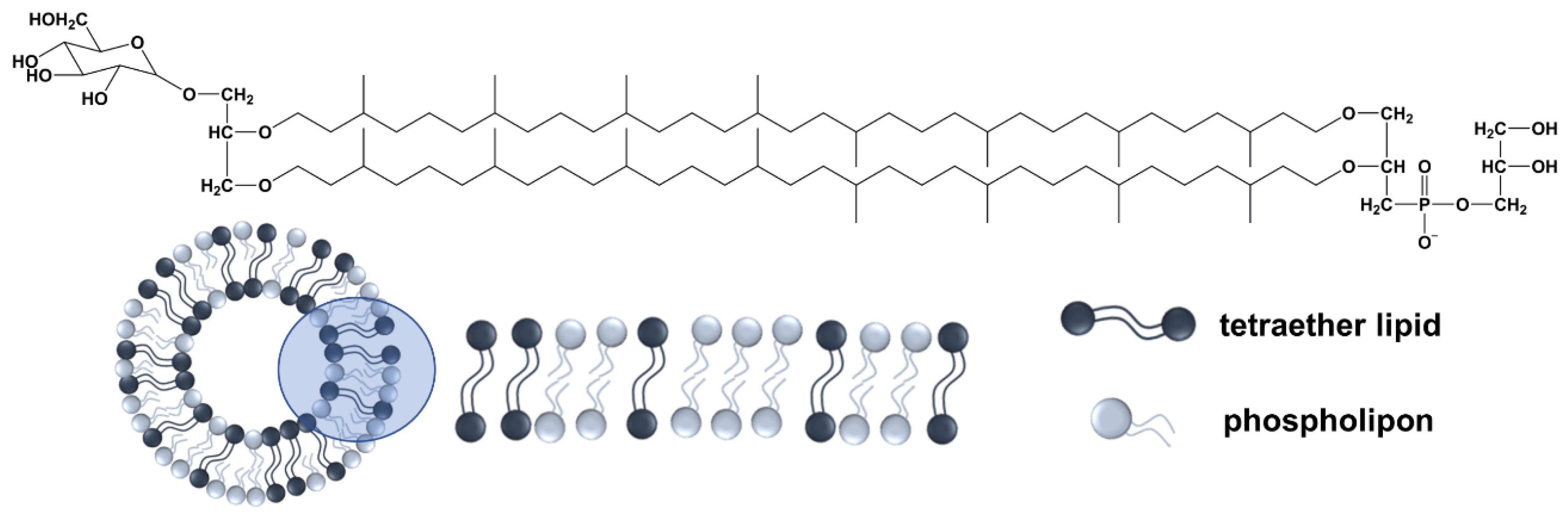 Materials 15 06995 g001 Materials 15 06995 g001