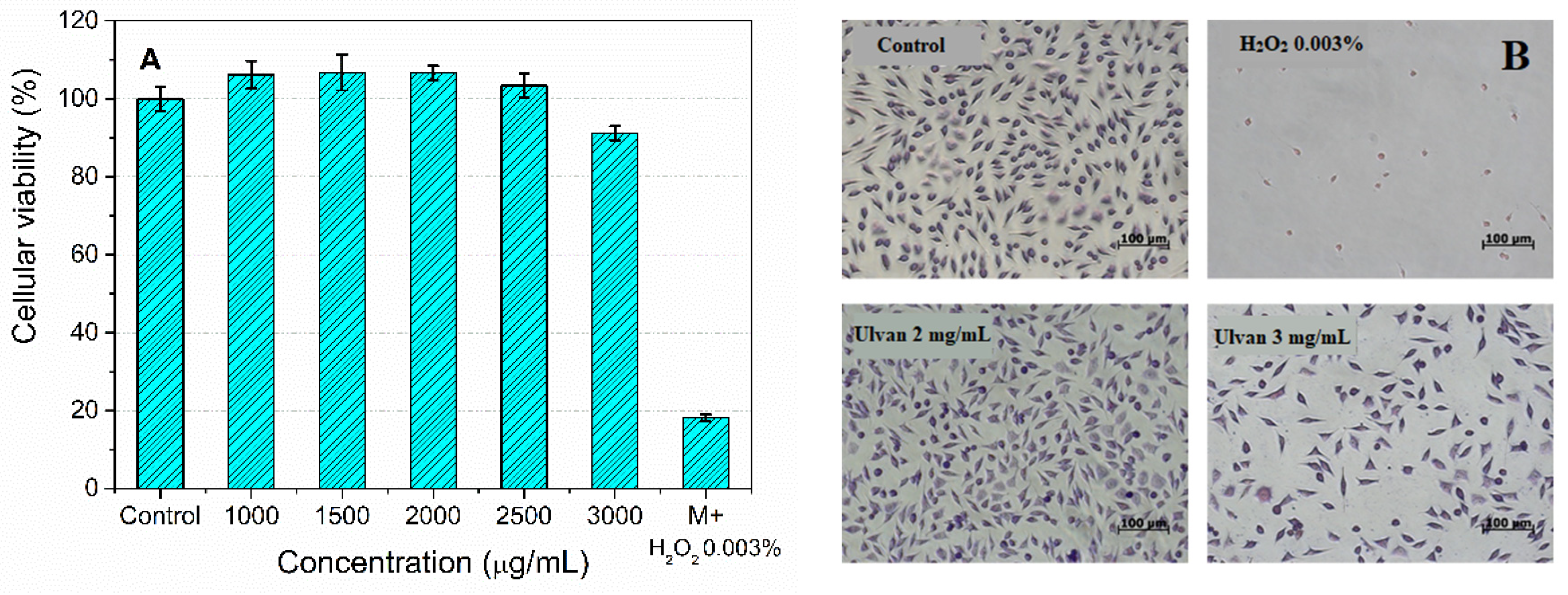 Materials 15 07003 g009 Materials 15 07003 g009