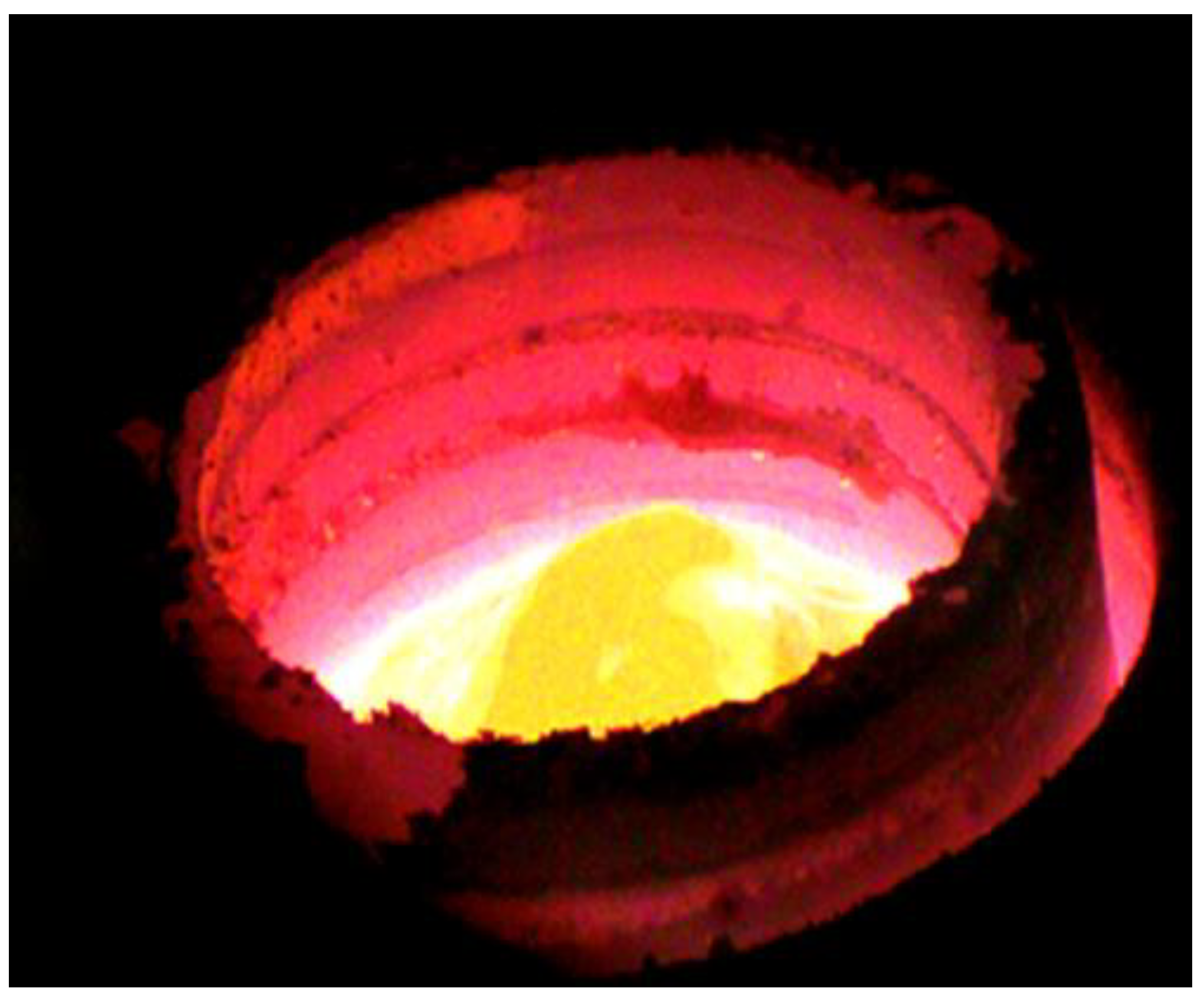 Materials 15 07024 g004