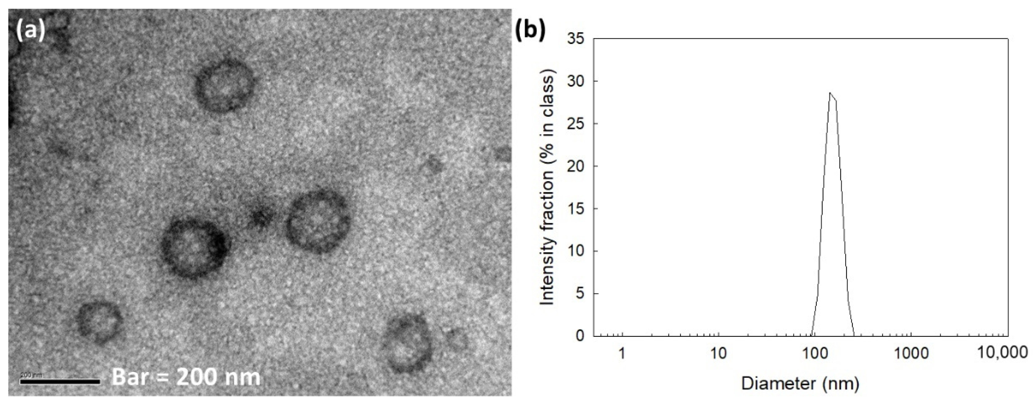 Materials 15 07057 g002