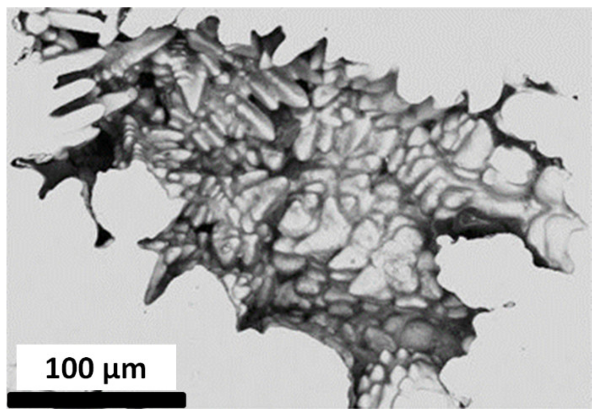 Materials 15 07072 g001 Materials 15 07072 g001