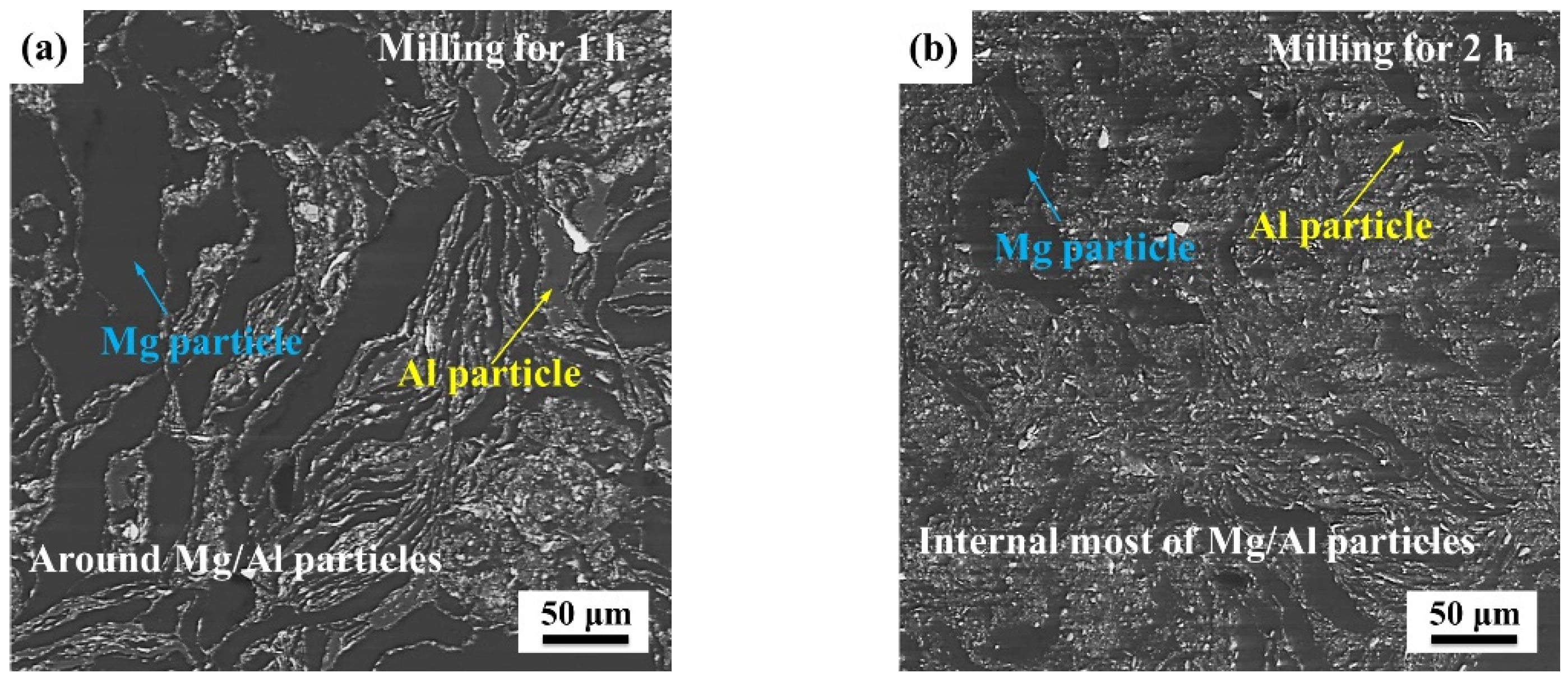 Materials 15 07075 g005a Materials 15 07075 g005a