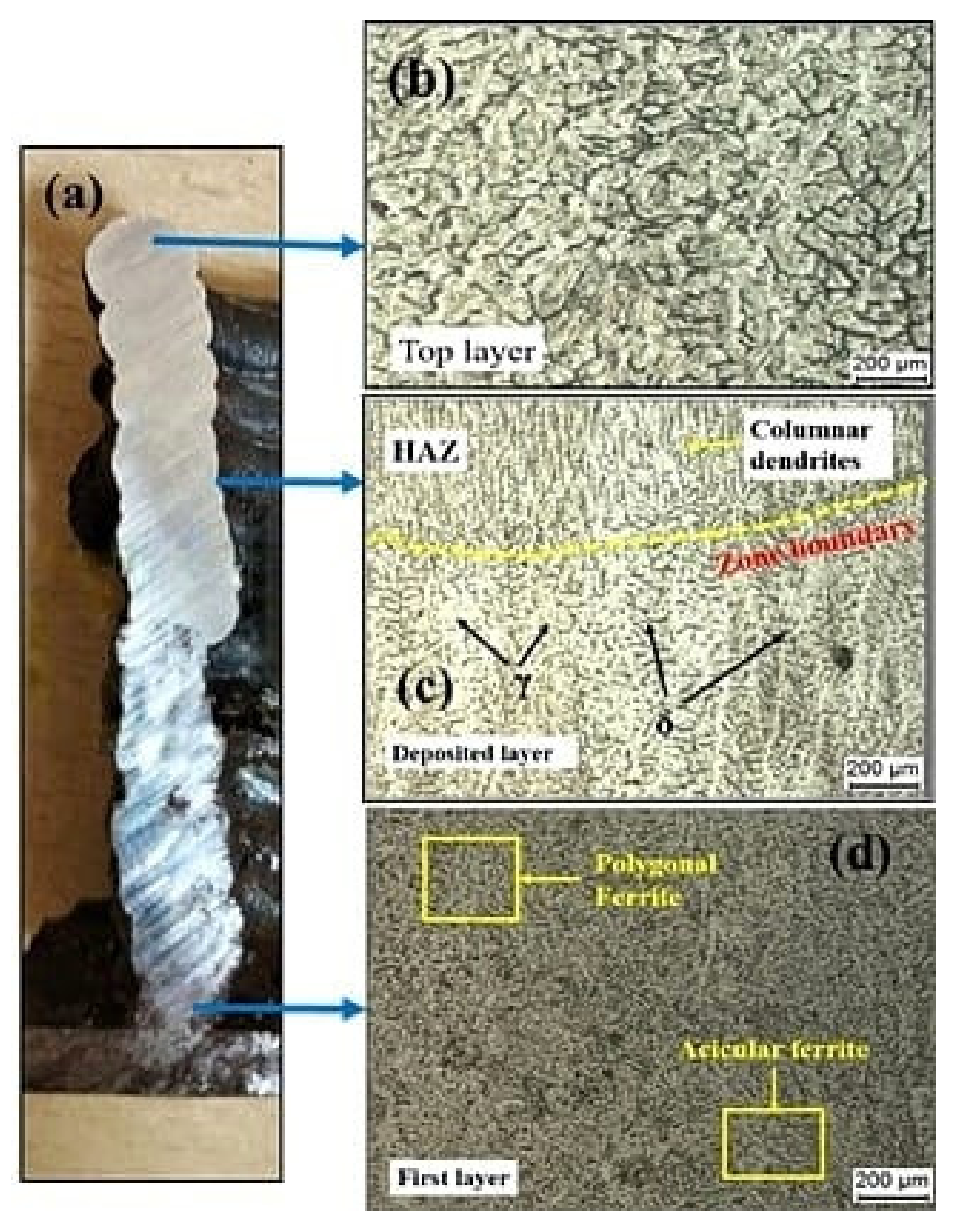 Materials 15 07094 g014 Materials 15 07094 g014