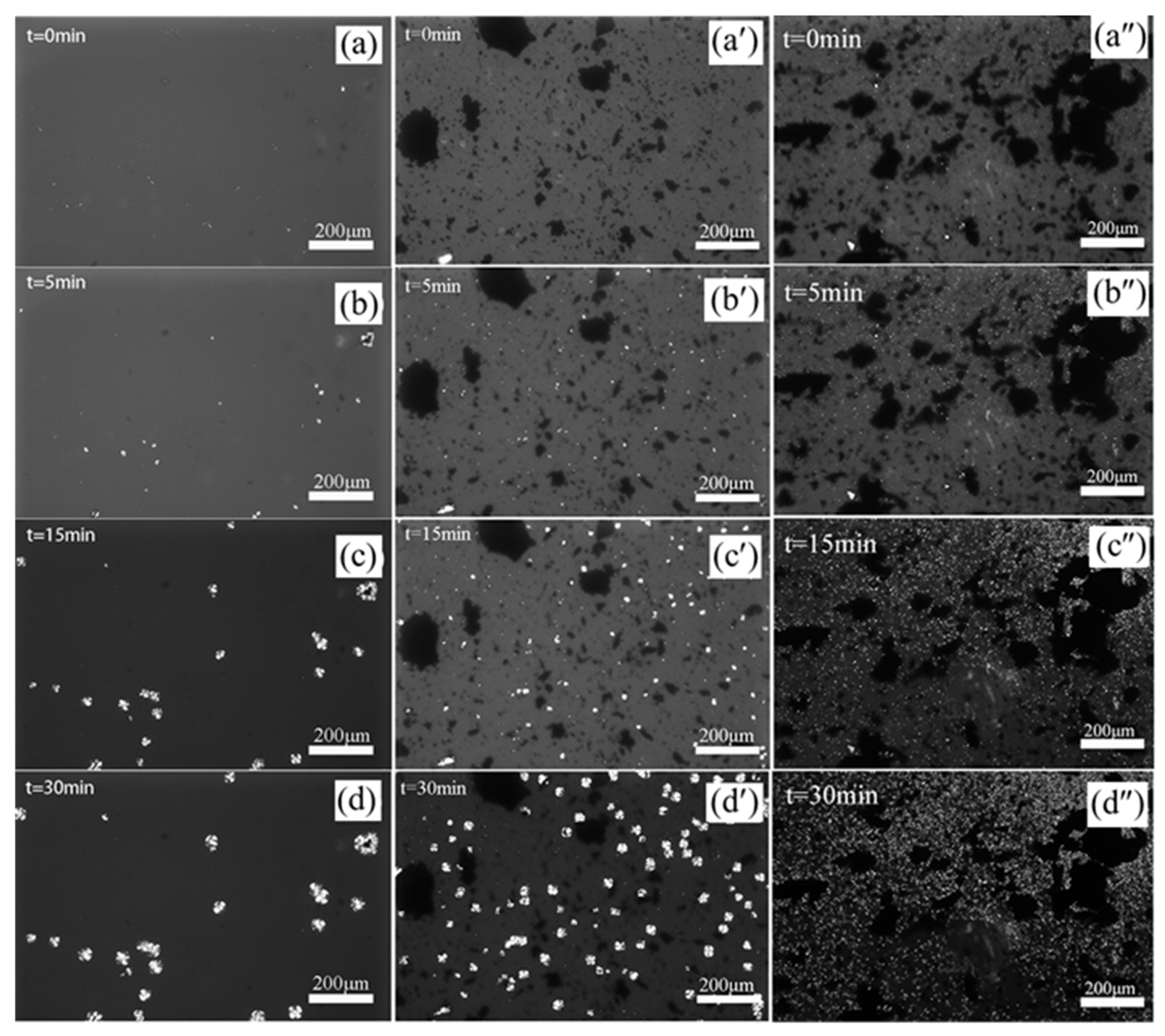 Materials 15 07095 g007 Materials 15 07095 g007