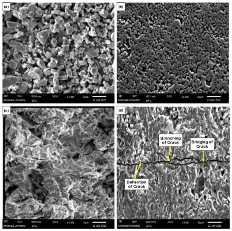 Materials 15 07096 g013 Materials 15 07096 g013