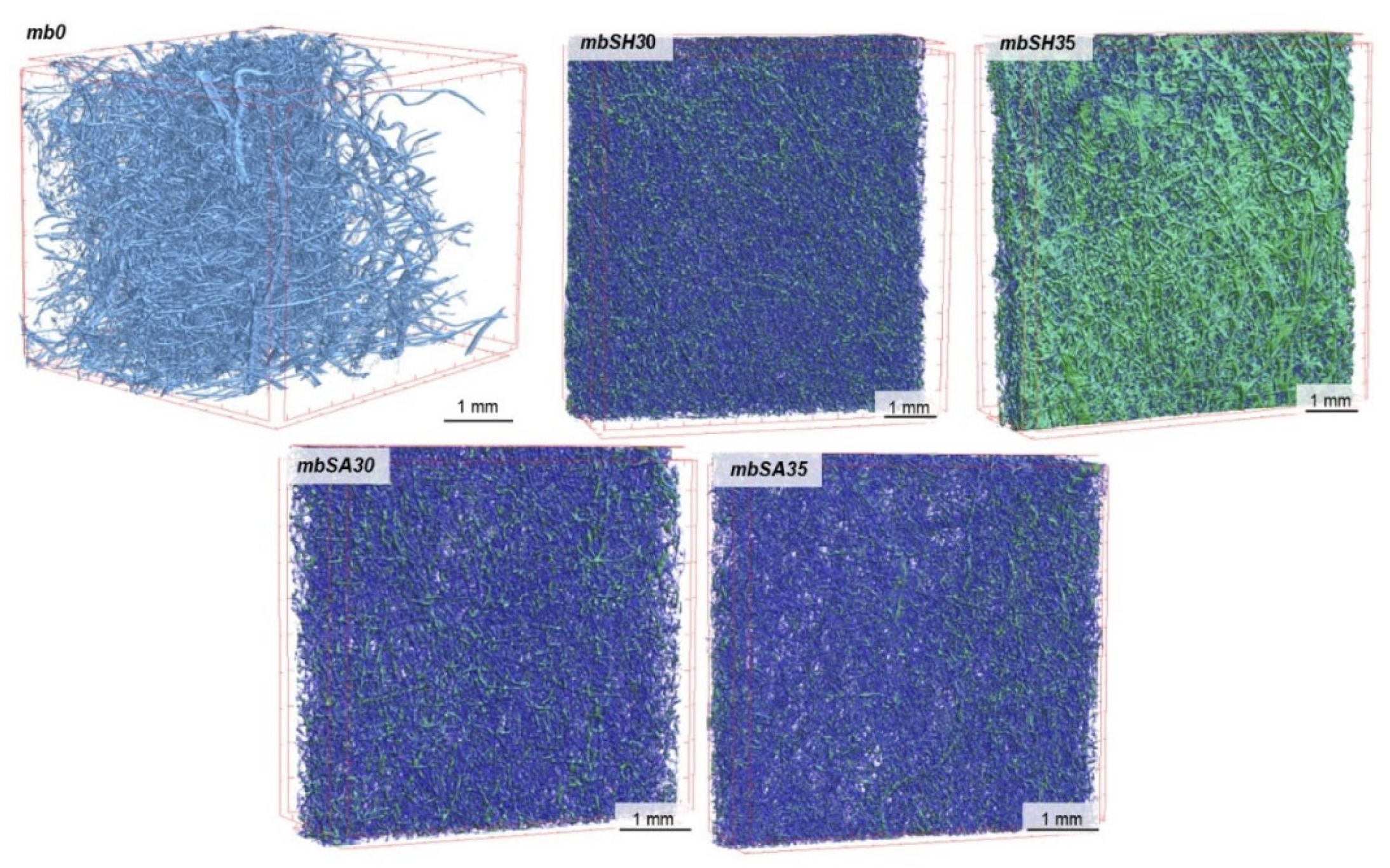 Materials 15 07097 g005