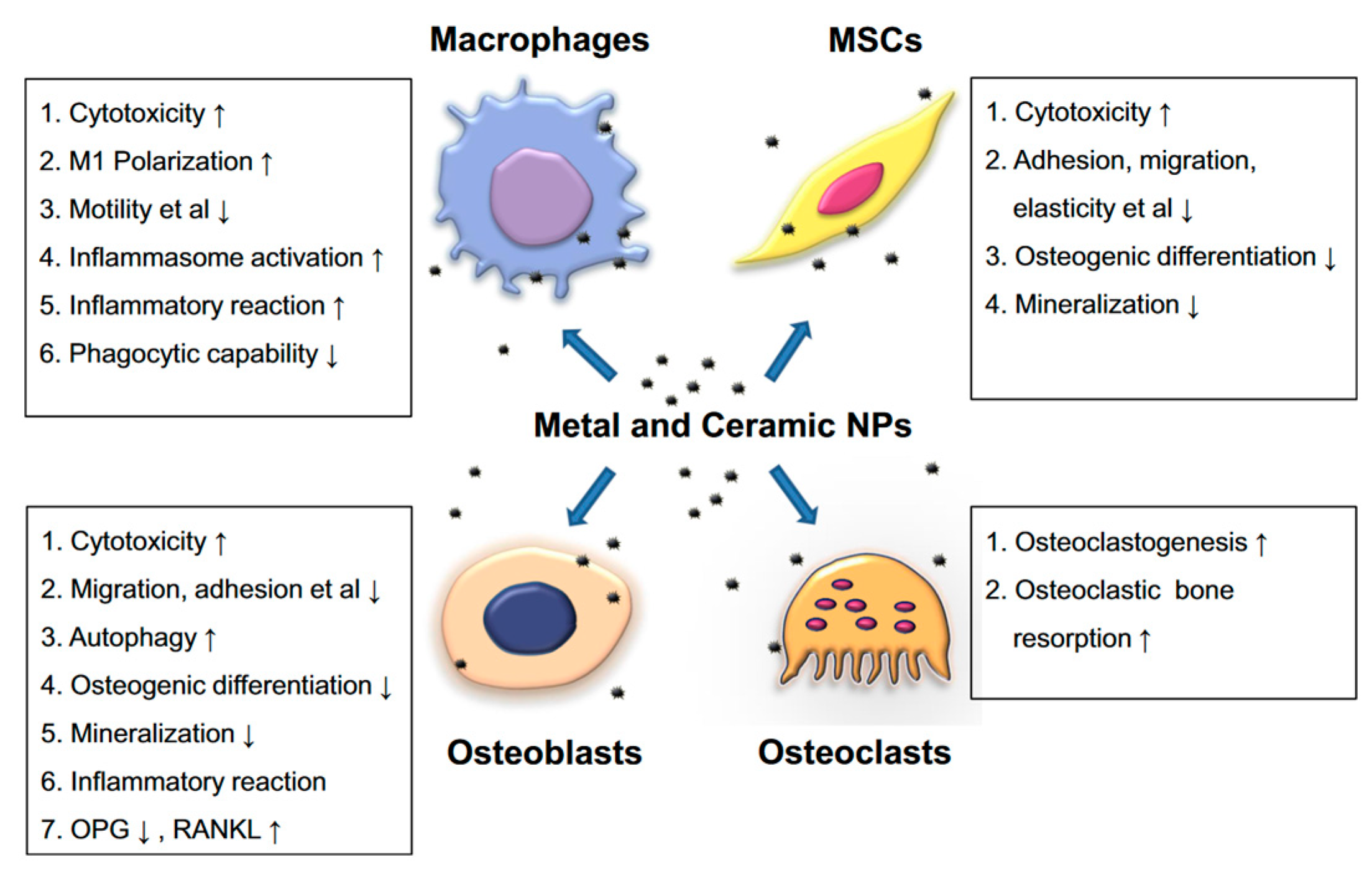 Materials 15 07102 g001