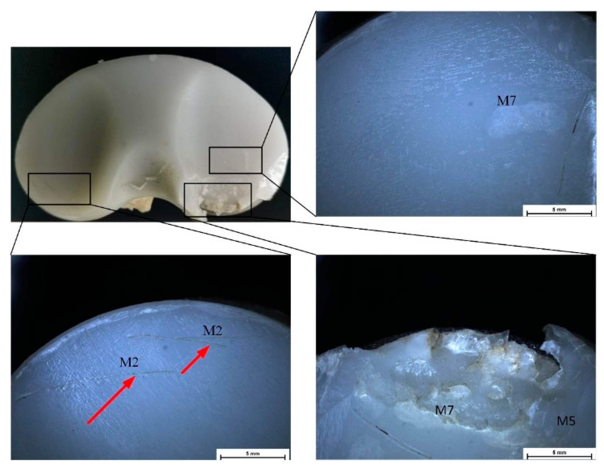 Materials 15 07102 g004
