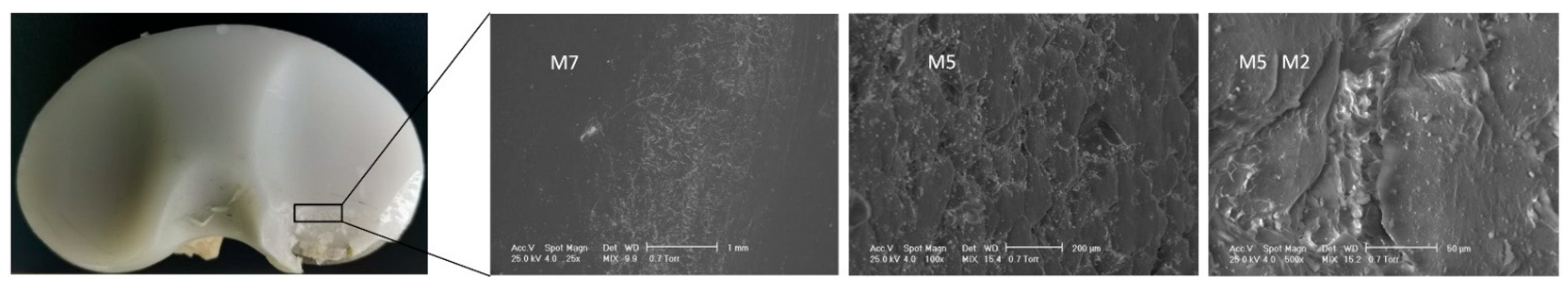 Materials 15 07102 g008