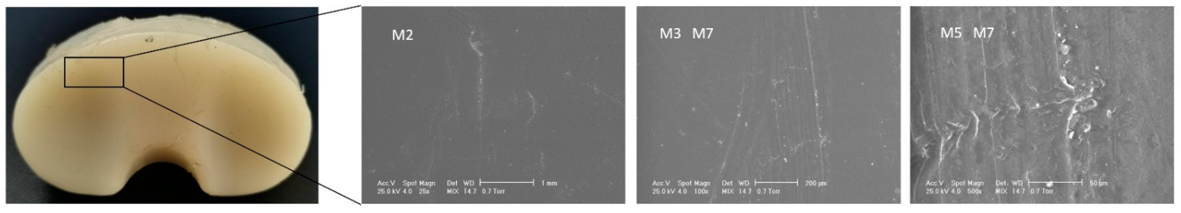 Materials 15 07102 g009