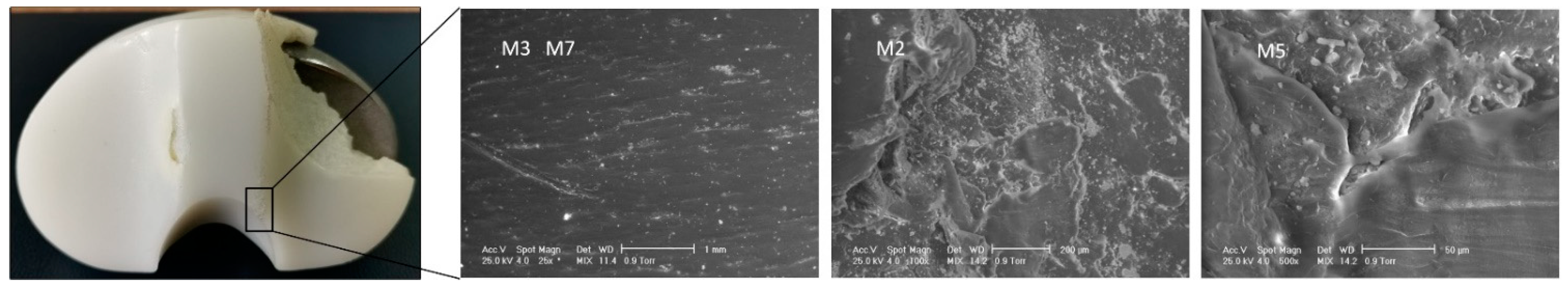 Materials 15 07102 g011