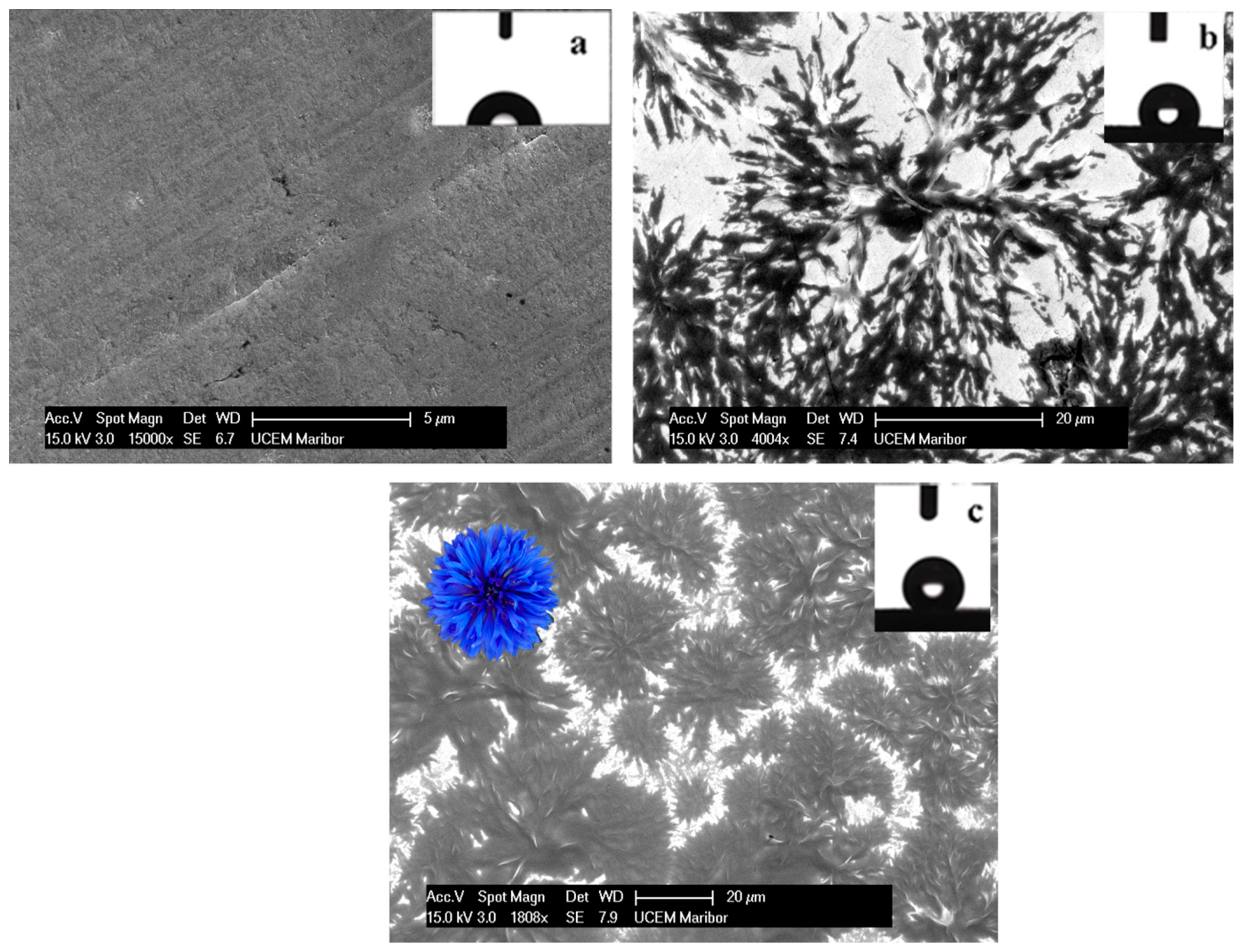 Materials 15 07104 g001 Materials 15 07104 g001