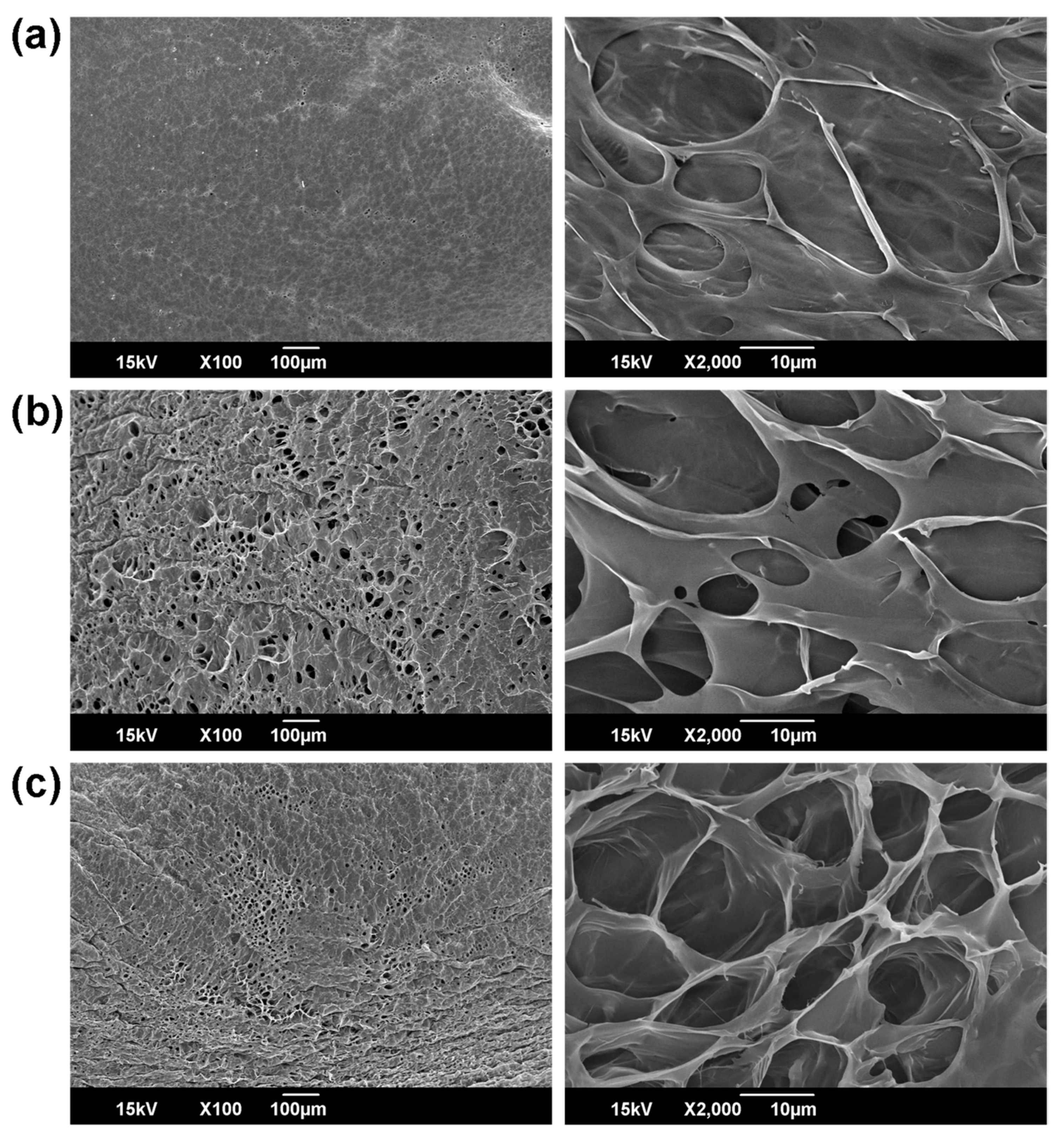 Materials 15 07128 g006