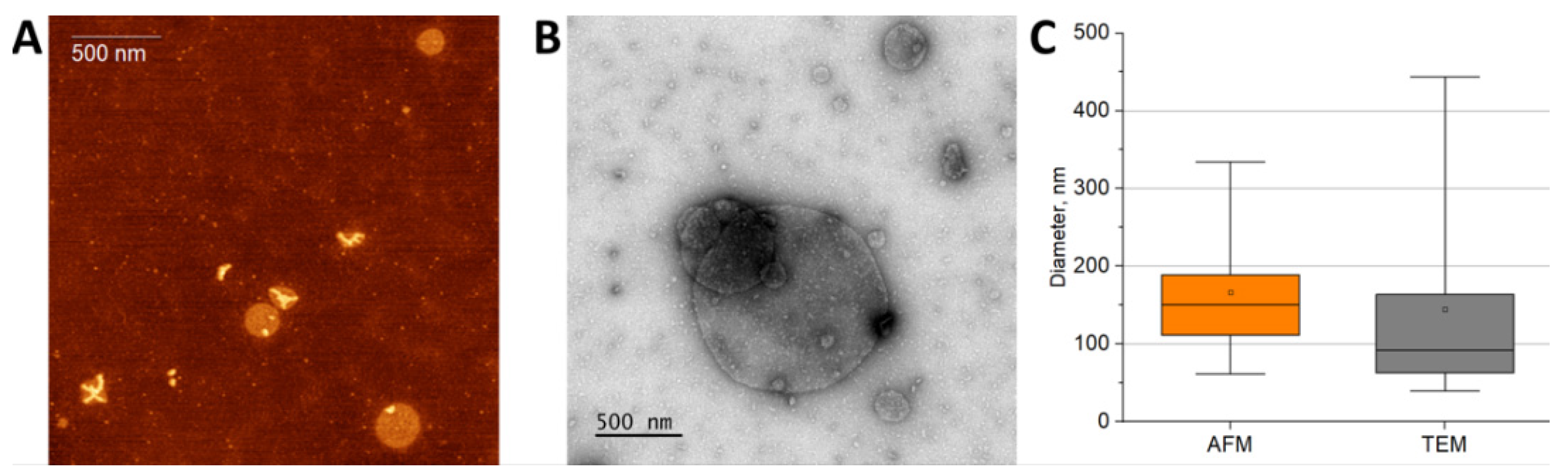 Materials 15 07136 g005