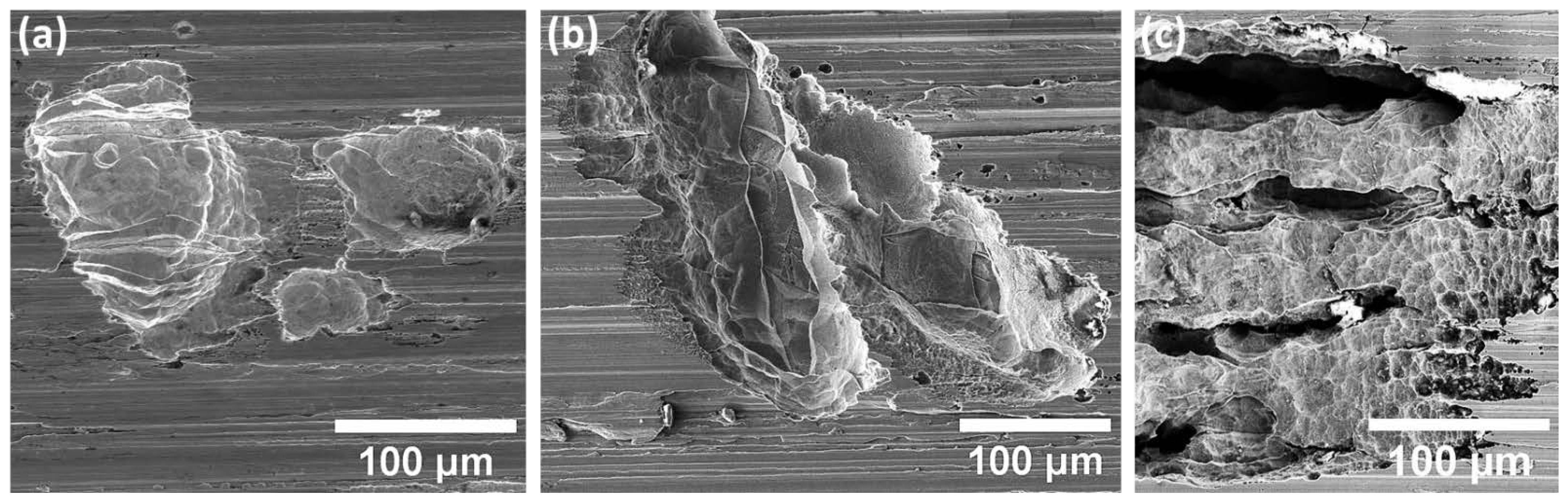 Materials 15 07151 g007