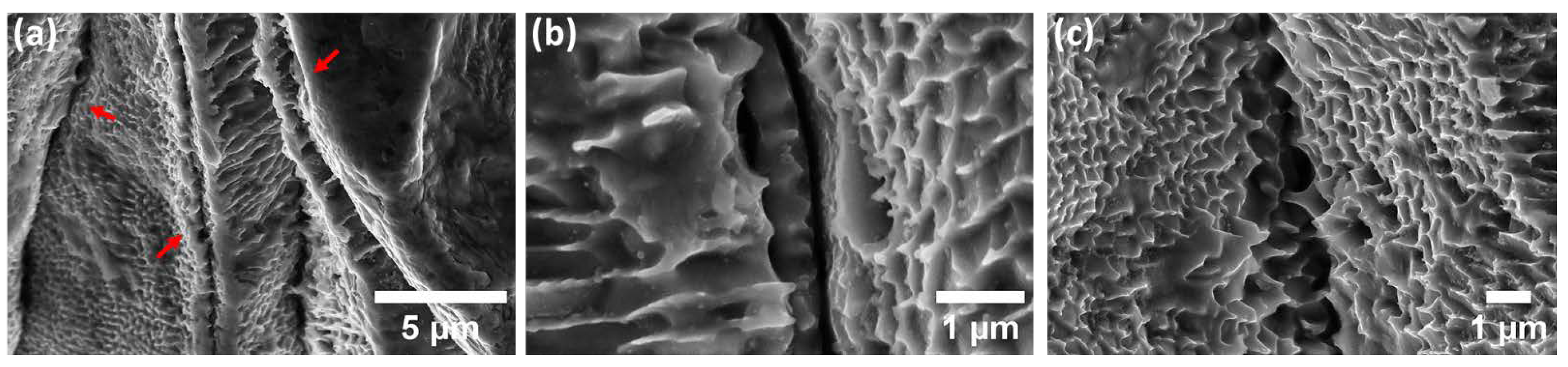 Materials 15 07151 g008