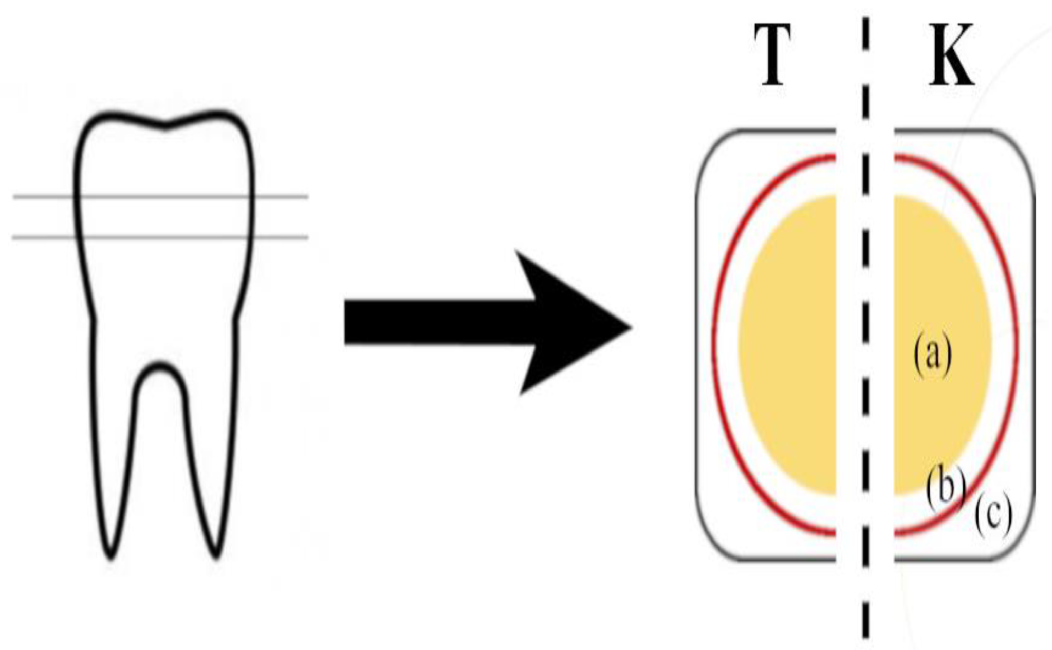 Materials 15 07173 g001