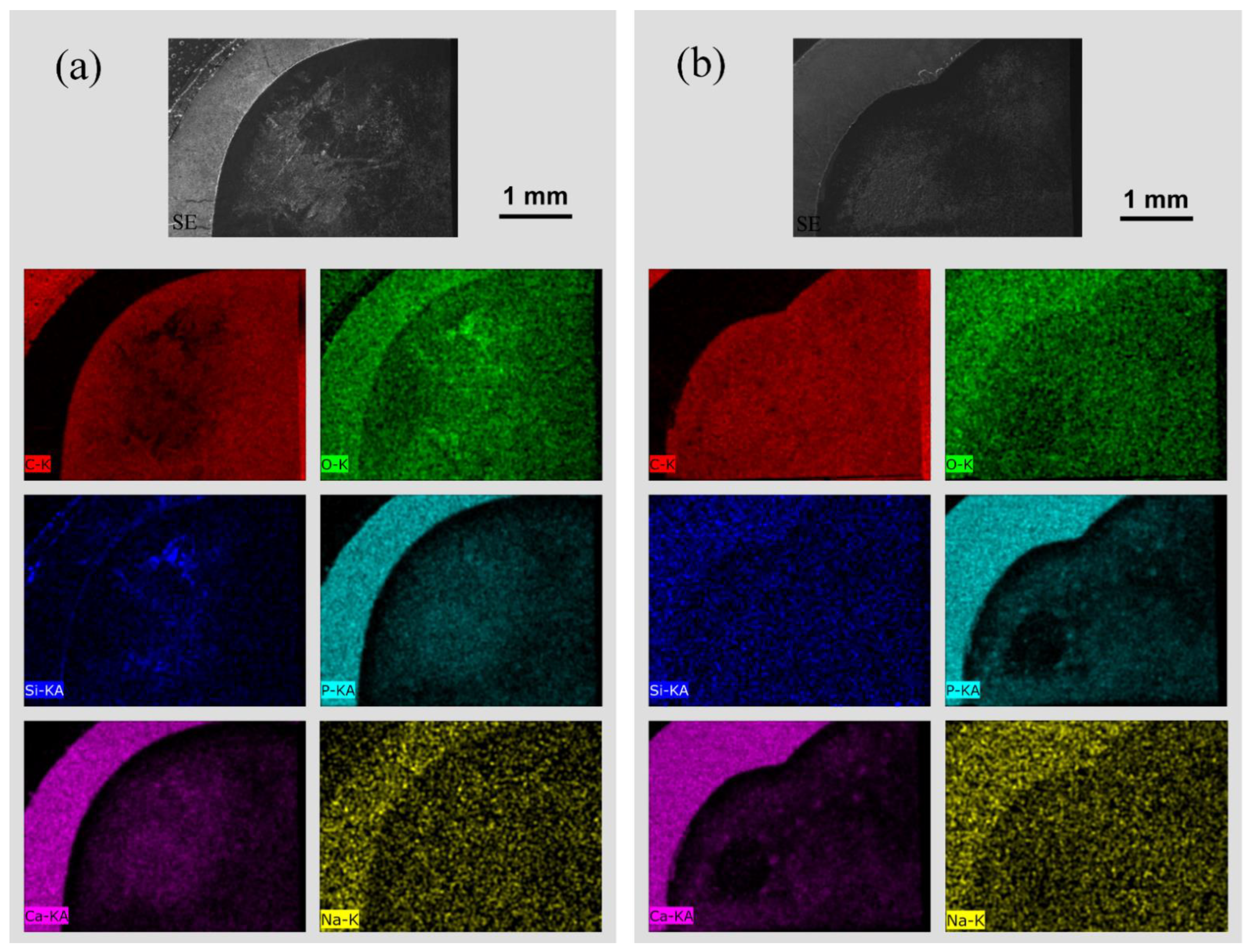 Materials 15 07173 g005